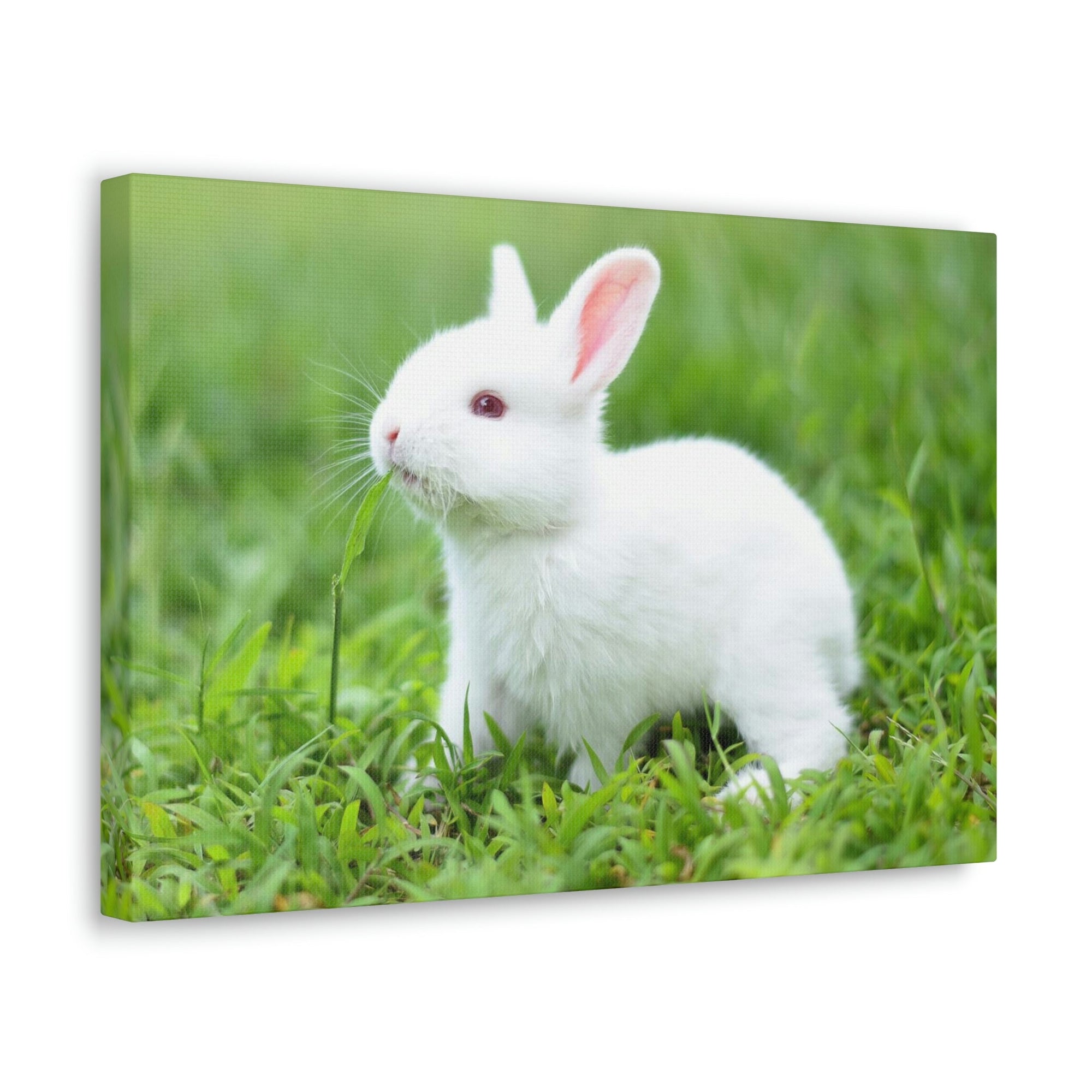 Scripture Walls Rabbit Hunting Rabbit on Hunt Print Animal Wall Art Wildlife Canvas Prints Wall Art Ready to Hang Unframed-Express Your Love Gifts