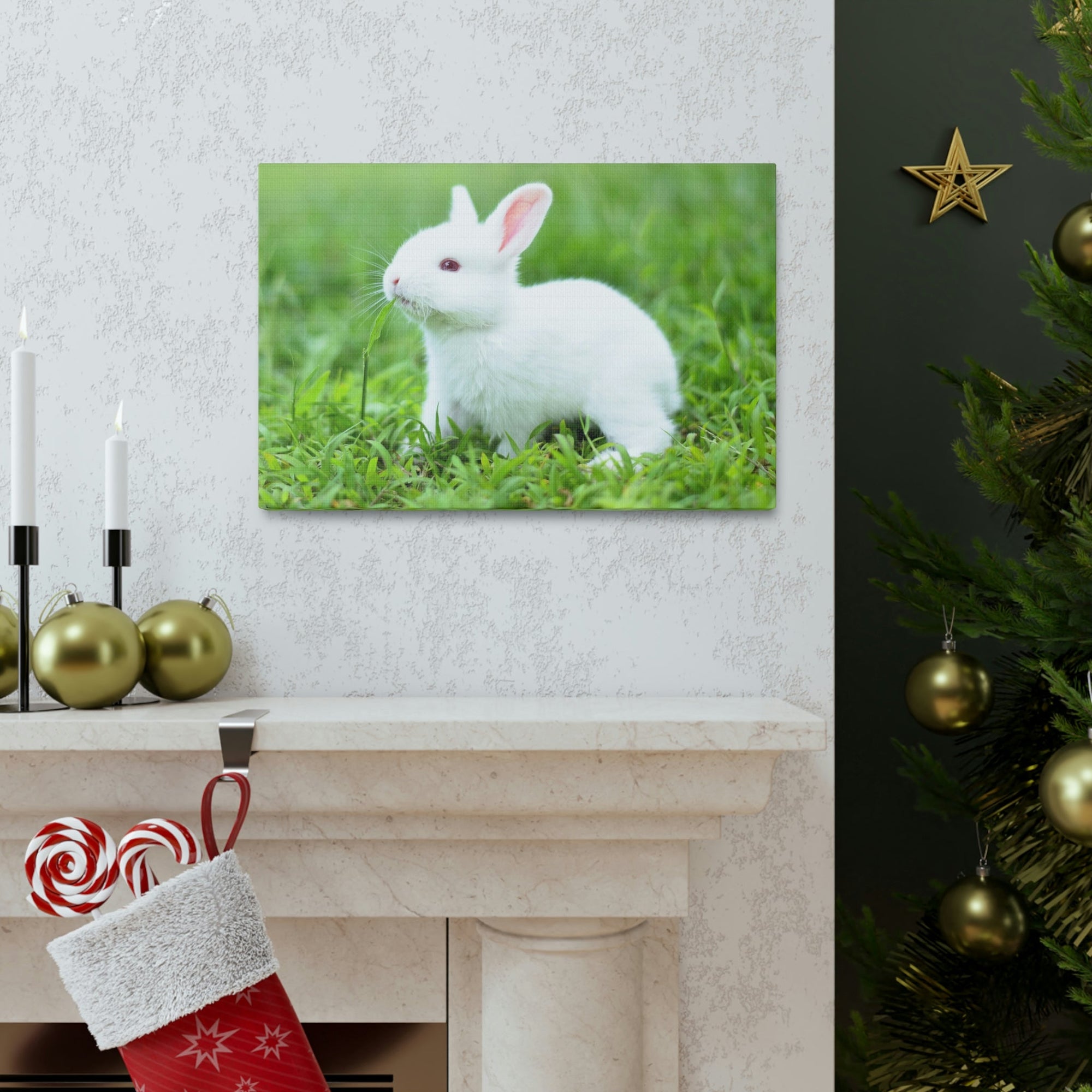 Scripture Walls Rabbit Hunting Rabbit on Hunt Print Animal Wall Art Wildlife Canvas Prints Wall Art Ready to Hang Unframed-Express Your Love Gifts