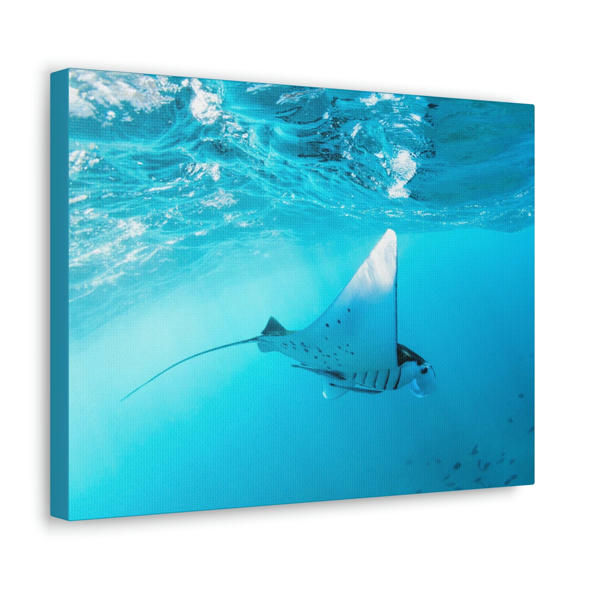 Scripture Walls Ray Hunting Ray on Hunt Print Animal Wall Art Wildlife Canvas Prints Wall Art Ready to Hang Unframed-Express Your Love Gifts