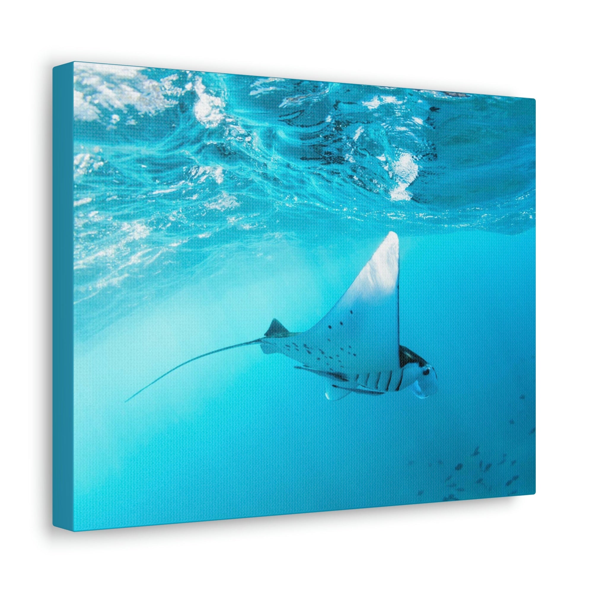 Scripture Walls Ray Hunting Ray on Hunt Print Animal Wall Art Wildlife Canvas Prints Wall Art Ready to Hang Unframed-Express Your Love Gifts