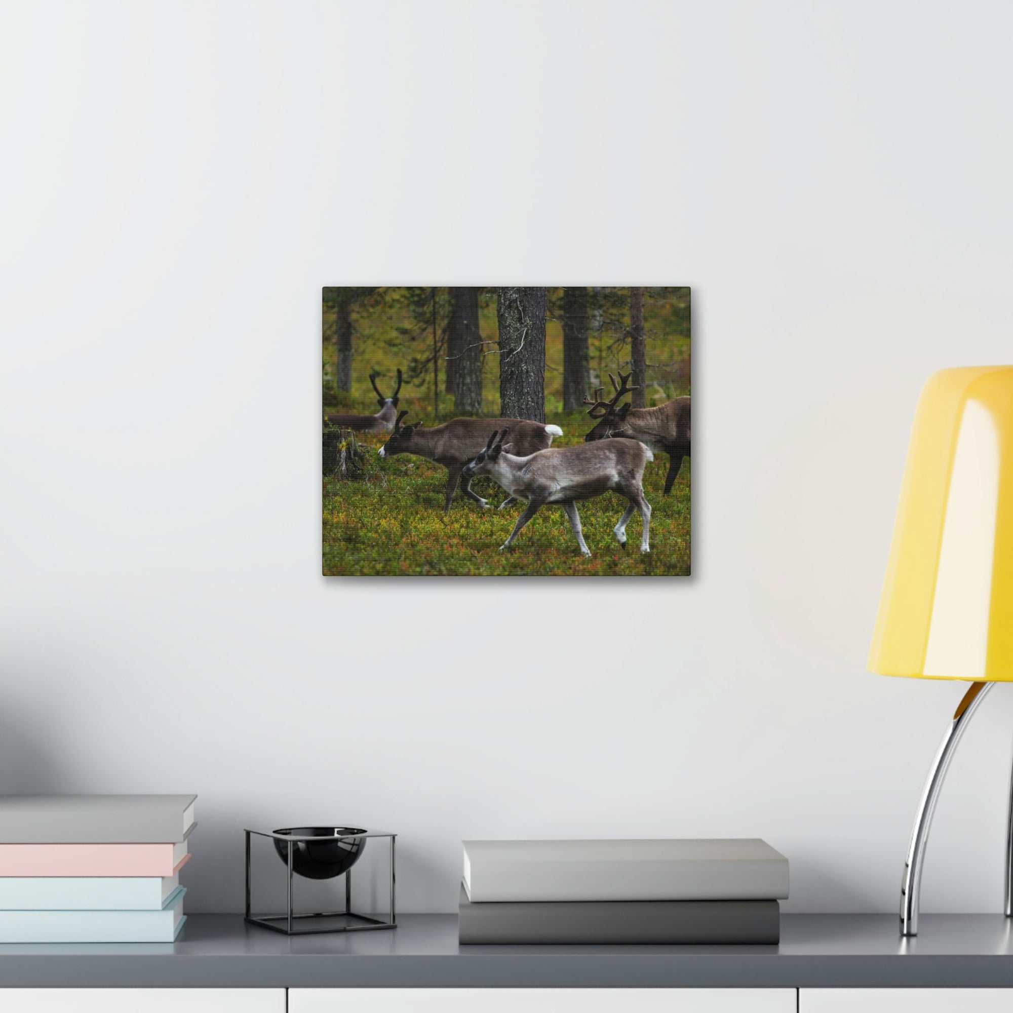 Scripture Walls Reindeer Group Reindeer Troop Print Animal Wall Art Wildlife Canvas Prints Wall Art Ready to Hang Unframed-Express Your Love Gifts