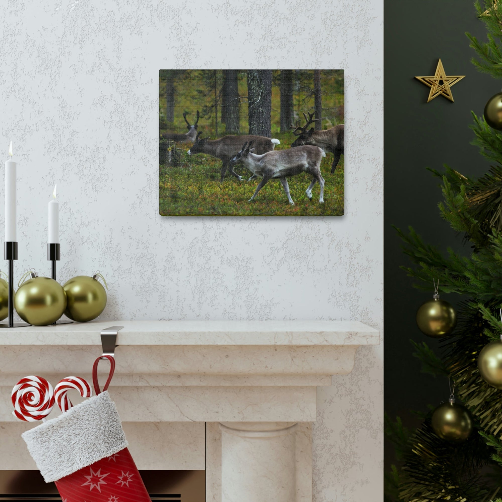 Scripture Walls Reindeer Group Reindeer Troop Print Animal Wall Art Wildlife Canvas Prints Wall Art Ready to Hang Unframed-Express Your Love Gifts