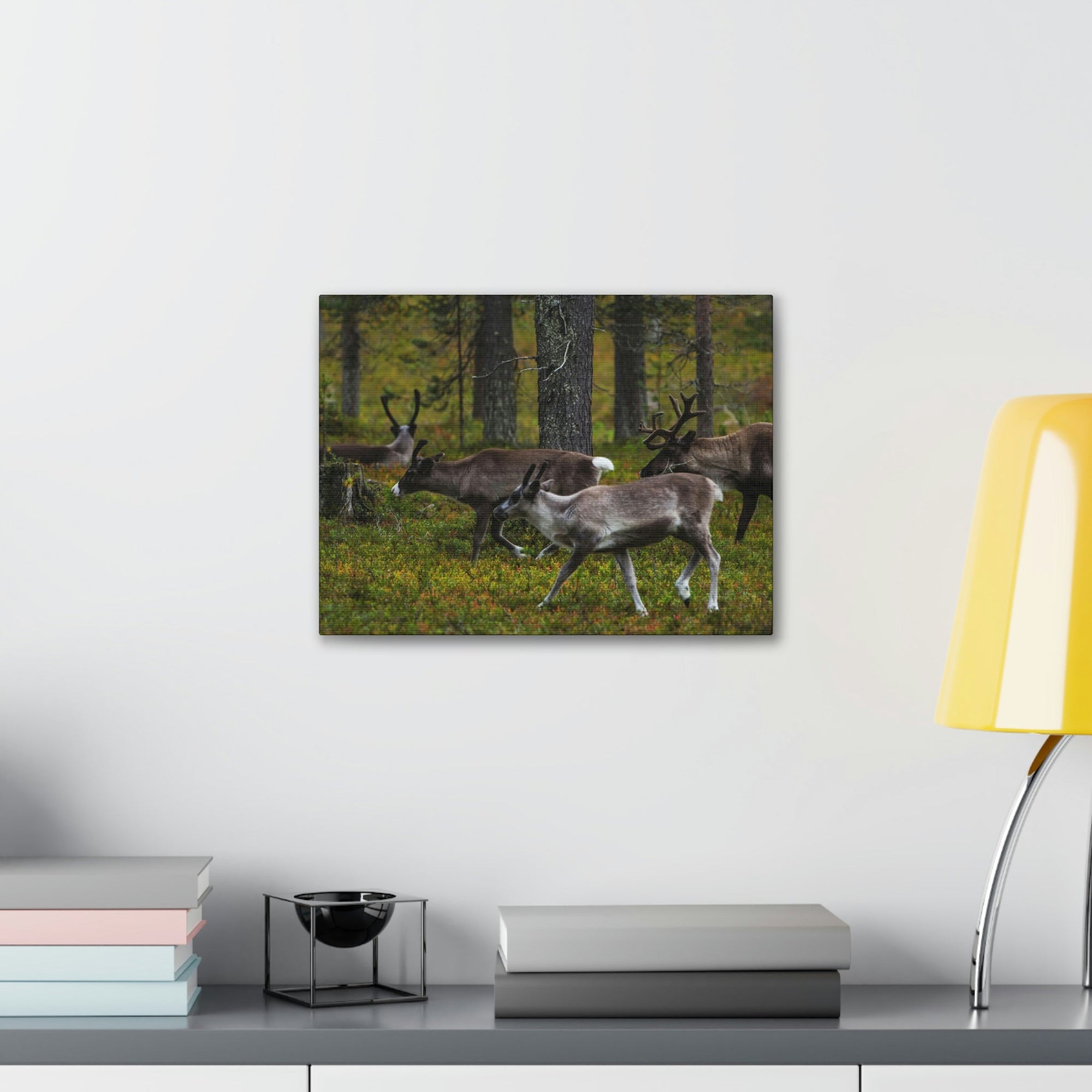 Scripture Walls Reindeer Group Reindeer Troop Print Animal Wall Art Wildlife Canvas Prints Wall Art Ready to Hang Unframed-Express Your Love Gifts