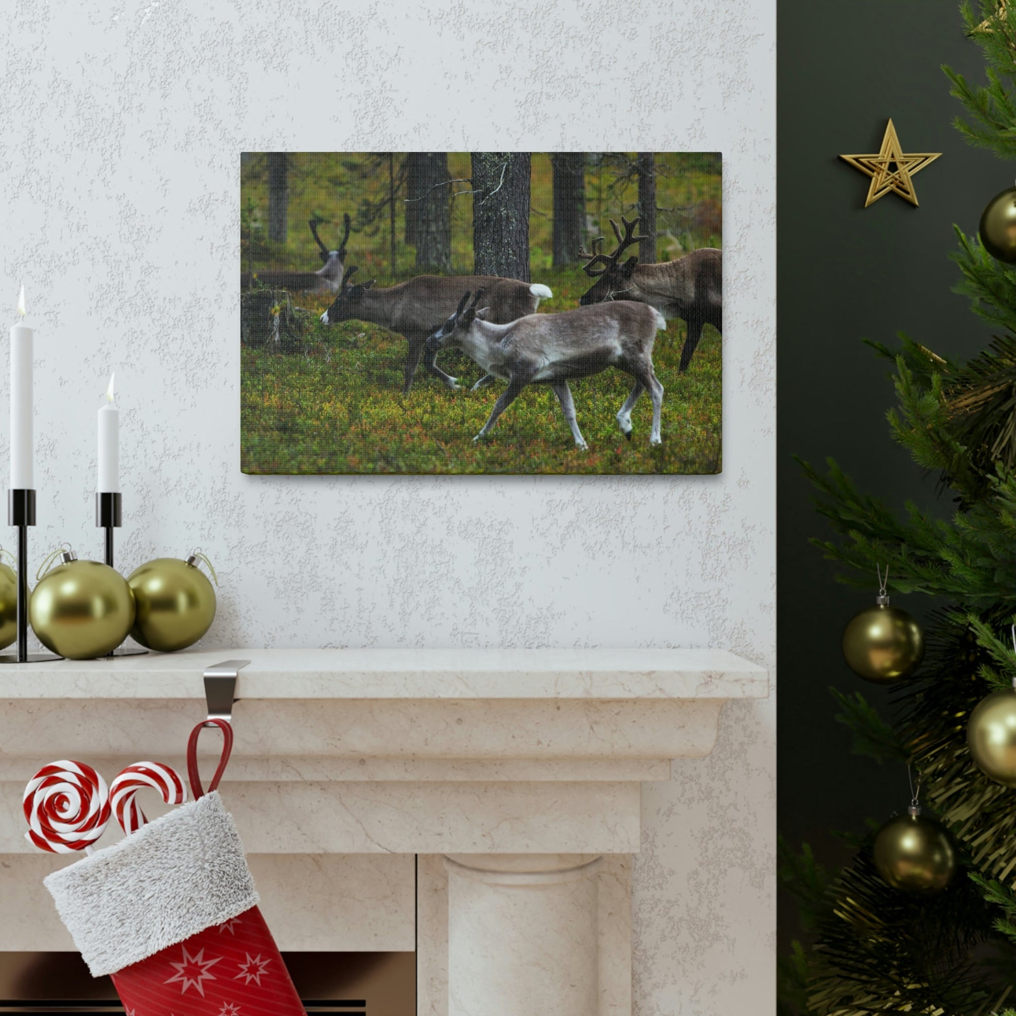 Scripture Walls Reindeer Group Reindeer Troop Print Animal Wall Art Wildlife Canvas Prints Wall Art Ready to Hang Unframed-Express Your Love Gifts