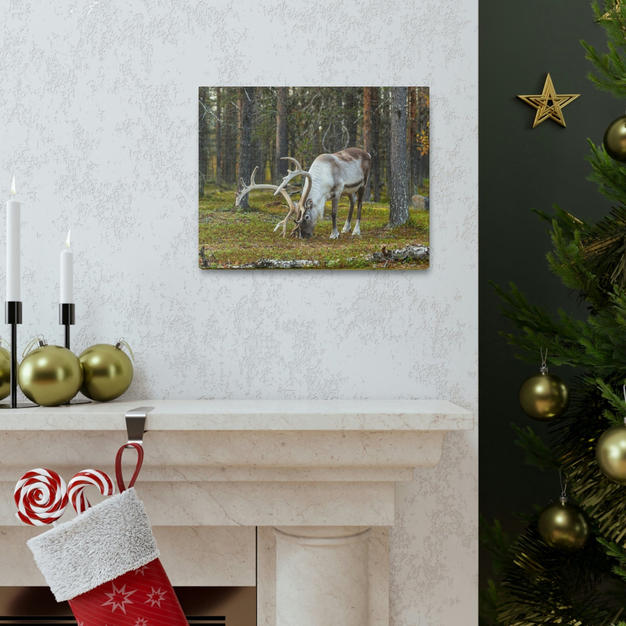 Scripture Walls Reindeer Hunting Reindeer on Hunt Print Animal Wall Art Wildlife Canvas Prints Wall Art Ready to Hang Unframed-Express Your Love Gifts