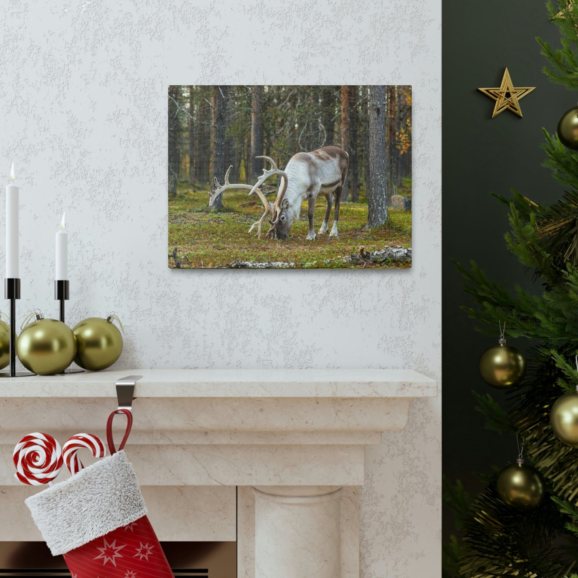 Scripture Walls Reindeer Hunting Reindeer on Hunt Print Animal Wall Art Wildlife Canvas Prints Wall Art Ready to Hang Unframed-Express Your Love Gifts