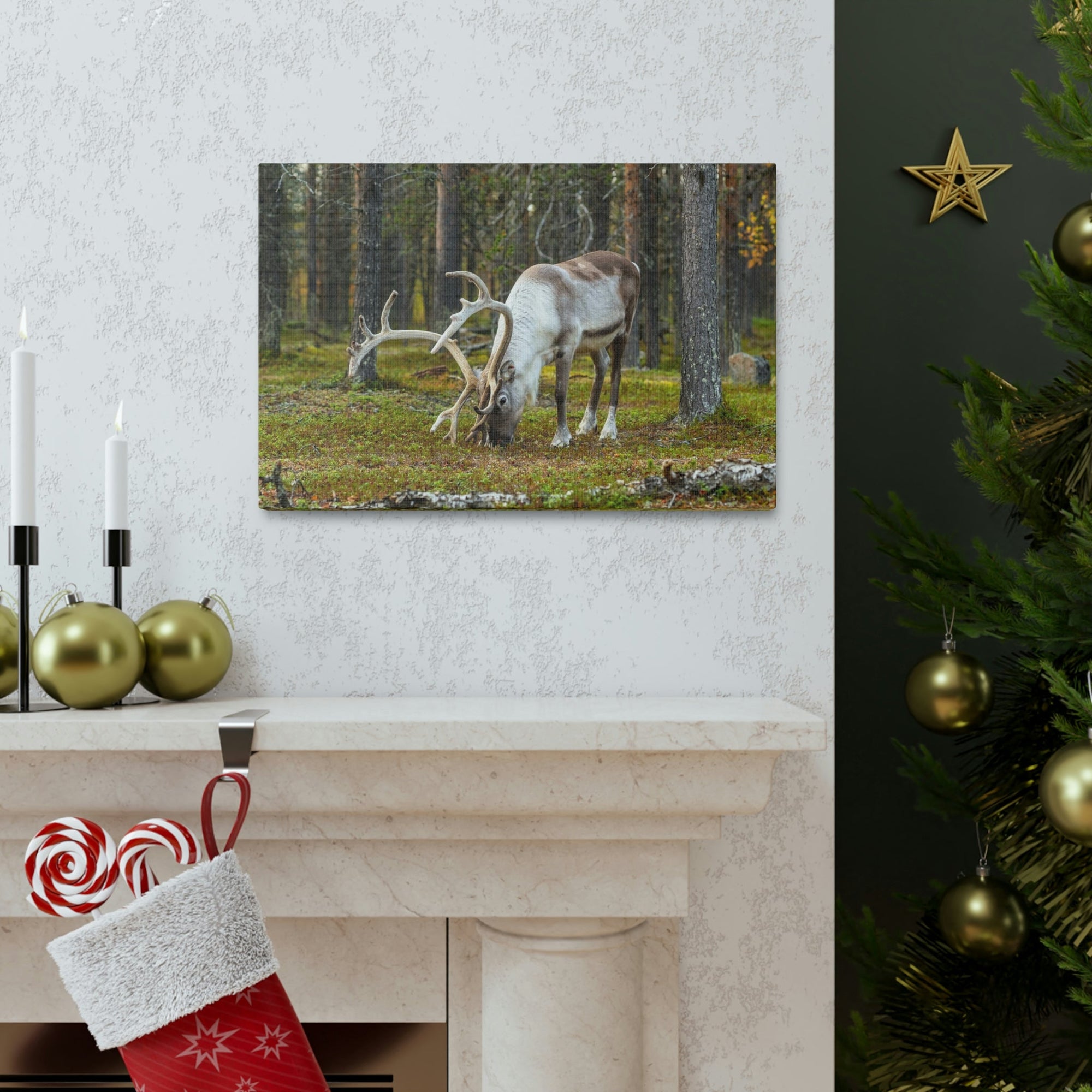 Scripture Walls Reindeer Hunting Reindeer on Hunt Print Animal Wall Art Wildlife Canvas Prints Wall Art Ready to Hang Unframed-Express Your Love Gifts