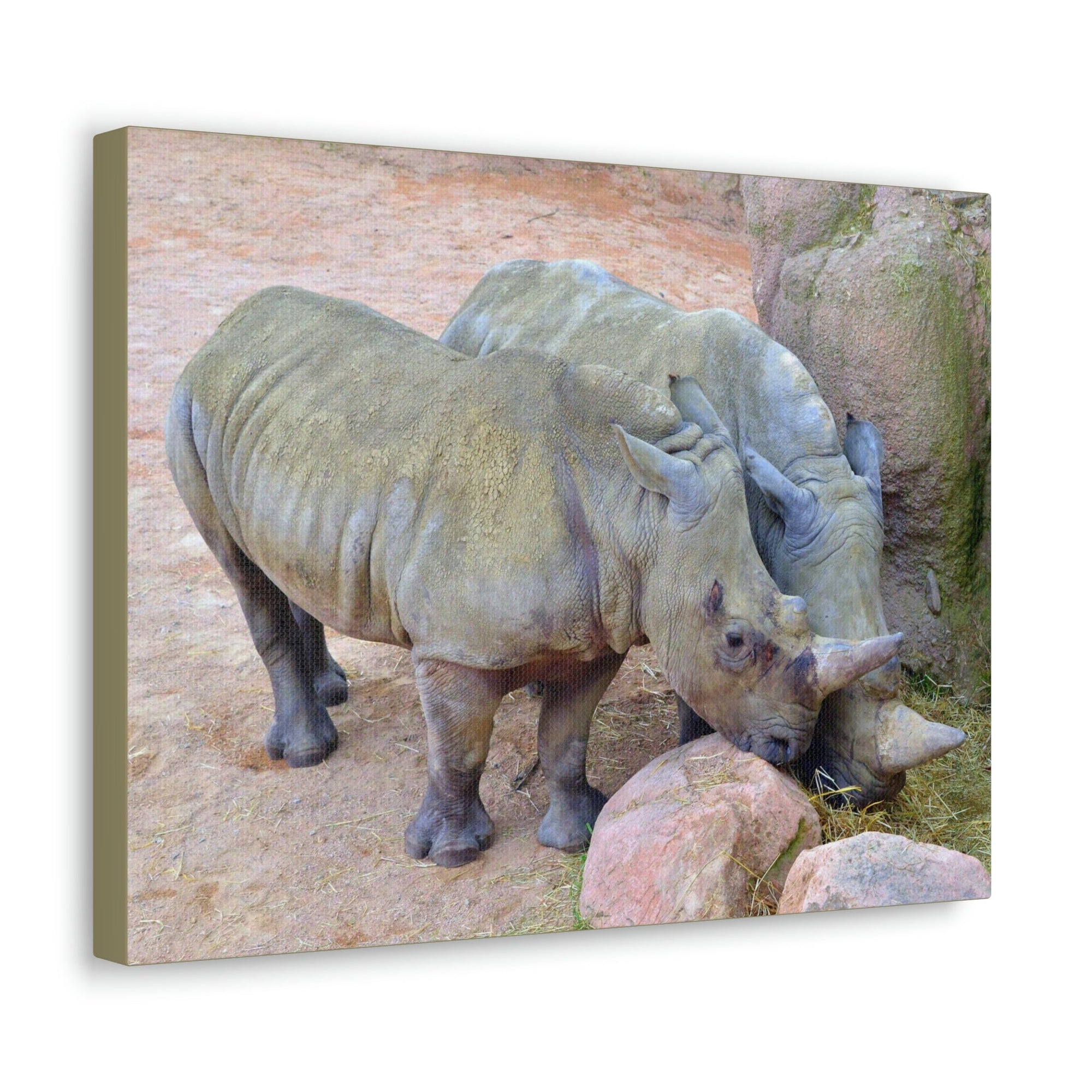 Scripture Walls Rhino Couple Rhino Couple Print Animal Wall Art Wildlife Canvas Prints Wall Art Ready to Hang Unframed-Express Your Love Gifts