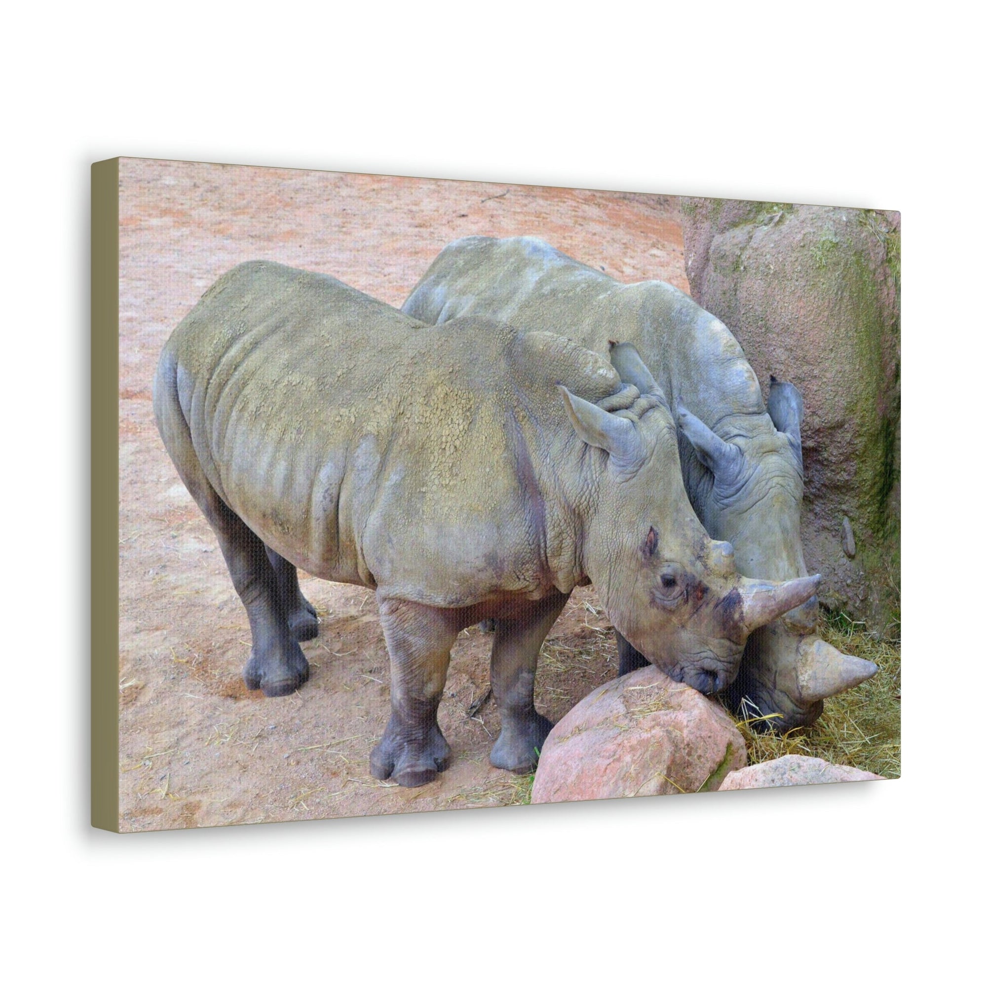 Scripture Walls Rhino Couple Rhino Couple Print Animal Wall Art Wildlife Canvas Prints Wall Art Ready to Hang Unframed-Express Your Love Gifts