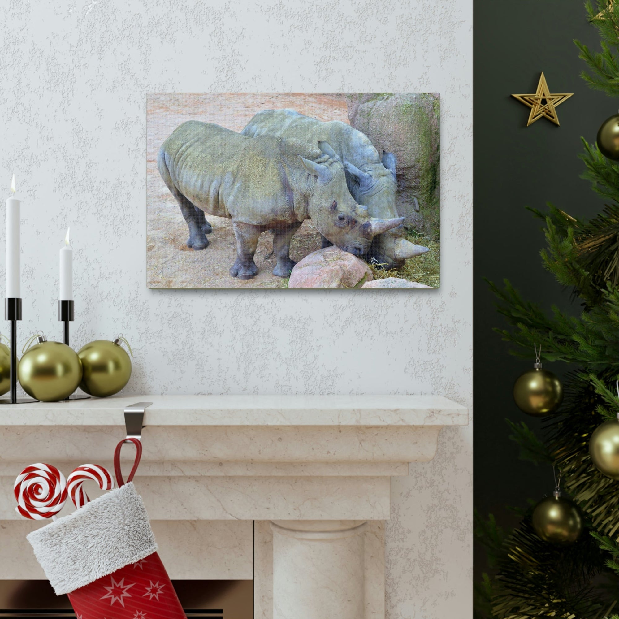 Scripture Walls Rhino Couple Rhino Couple Print Animal Wall Art Wildlife Canvas Prints Wall Art Ready to Hang Unframed-Express Your Love Gifts