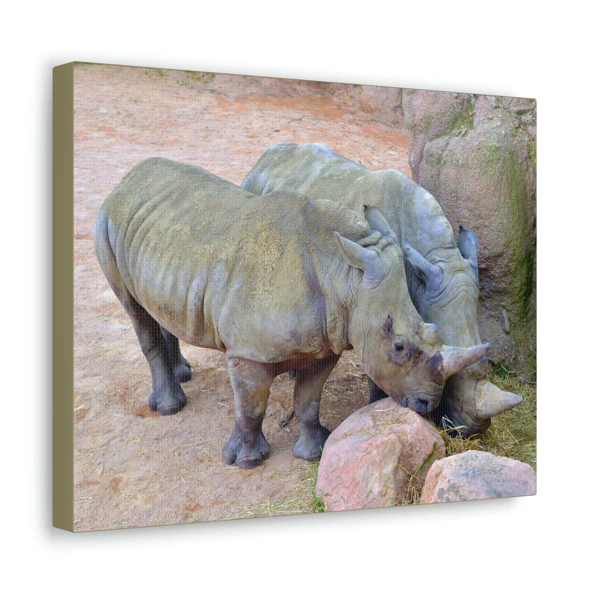 Scripture Walls Rhino Couple Rhino Couple Print Animal Wall Art Wildlife Canvas Prints Wall Art Ready to Hang Unframed-Express Your Love Gifts