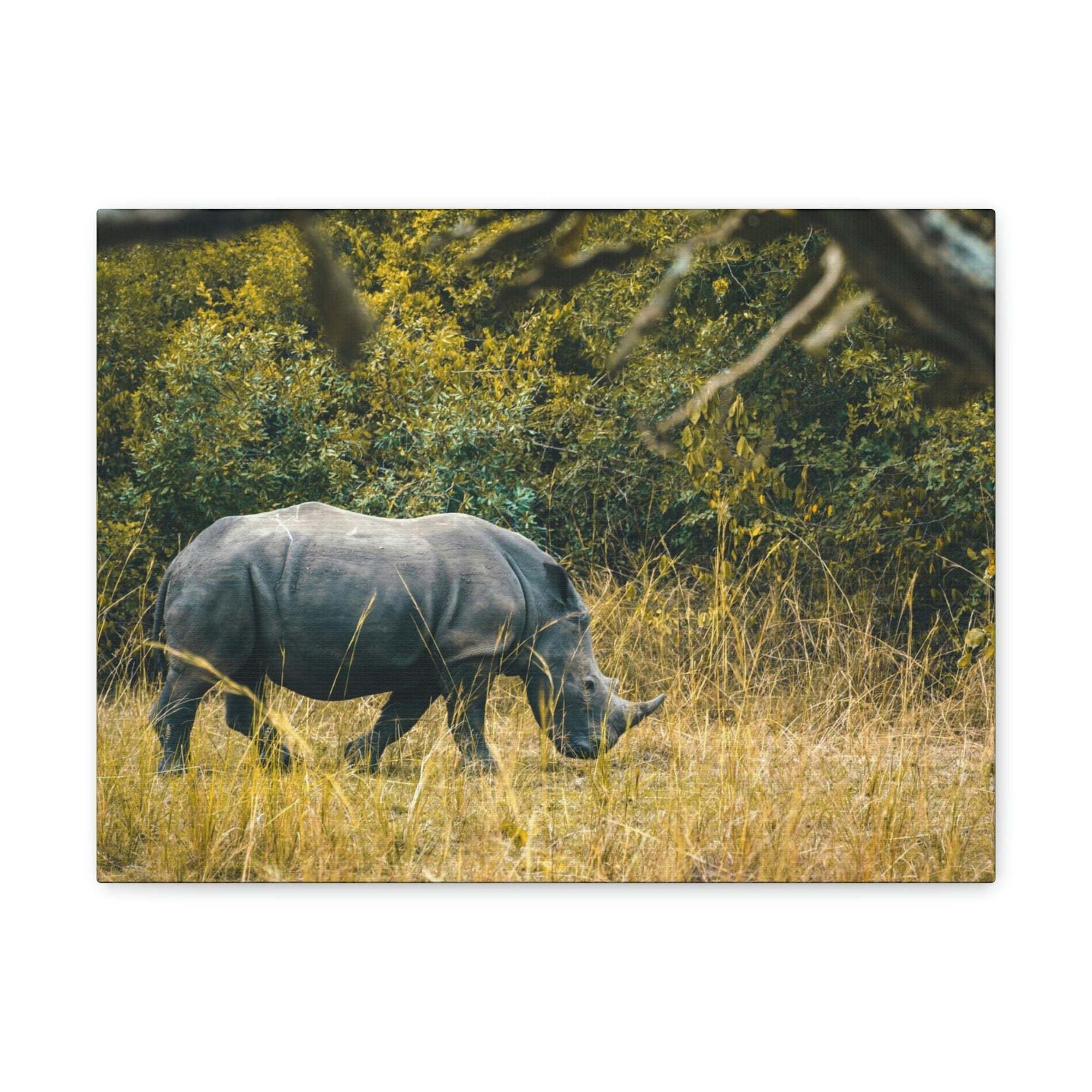 Scripture Walls Rhino Hunting Rhino on Hunt Print Animal Wall Art Wildlife Canvas Prints Wall Art Ready to Hang Unframed-Express Your Love Gifts