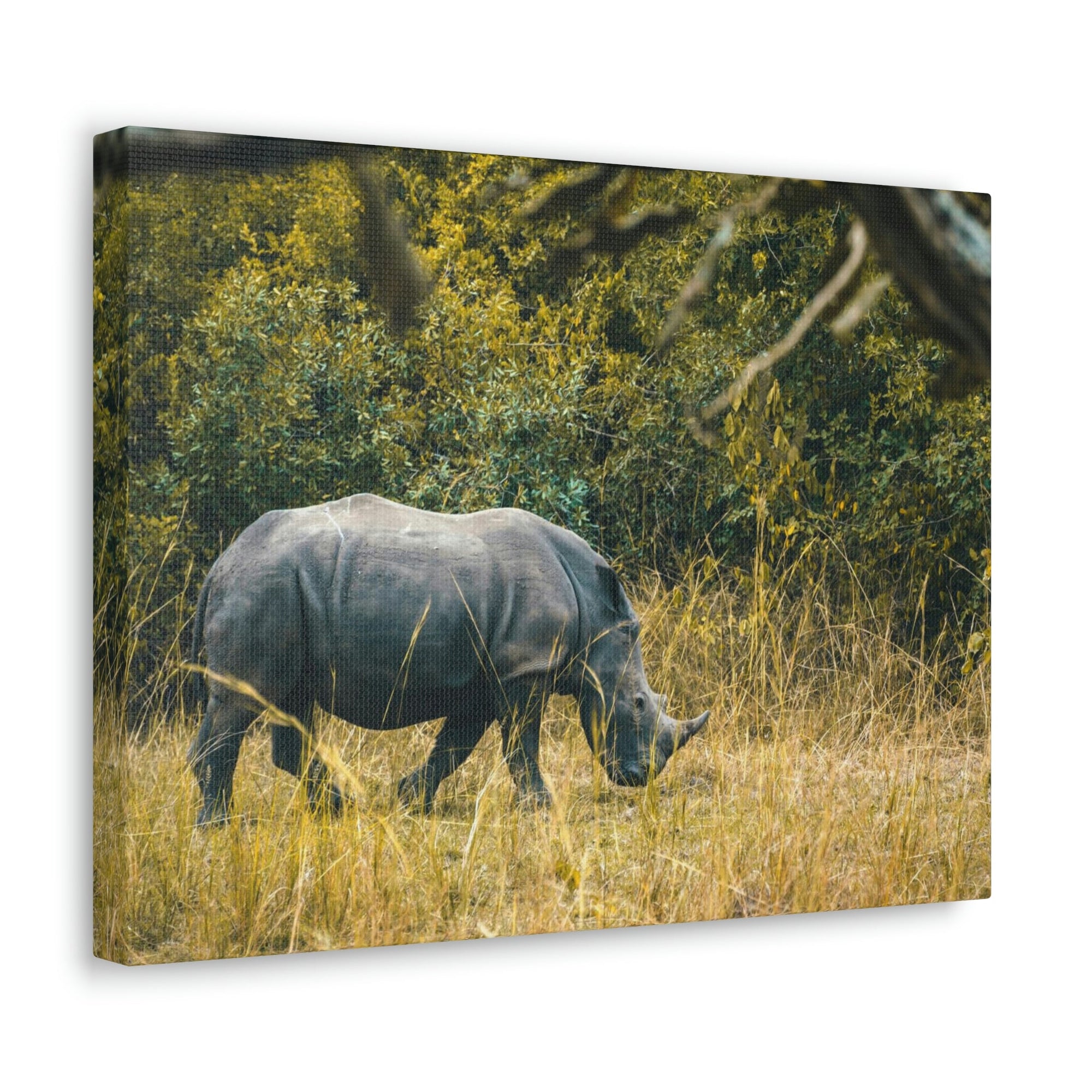 Scripture Walls Rhino Hunting Rhino on Hunt Print Animal Wall Art Wildlife Canvas Prints Wall Art Ready to Hang Unframed-Express Your Love Gifts