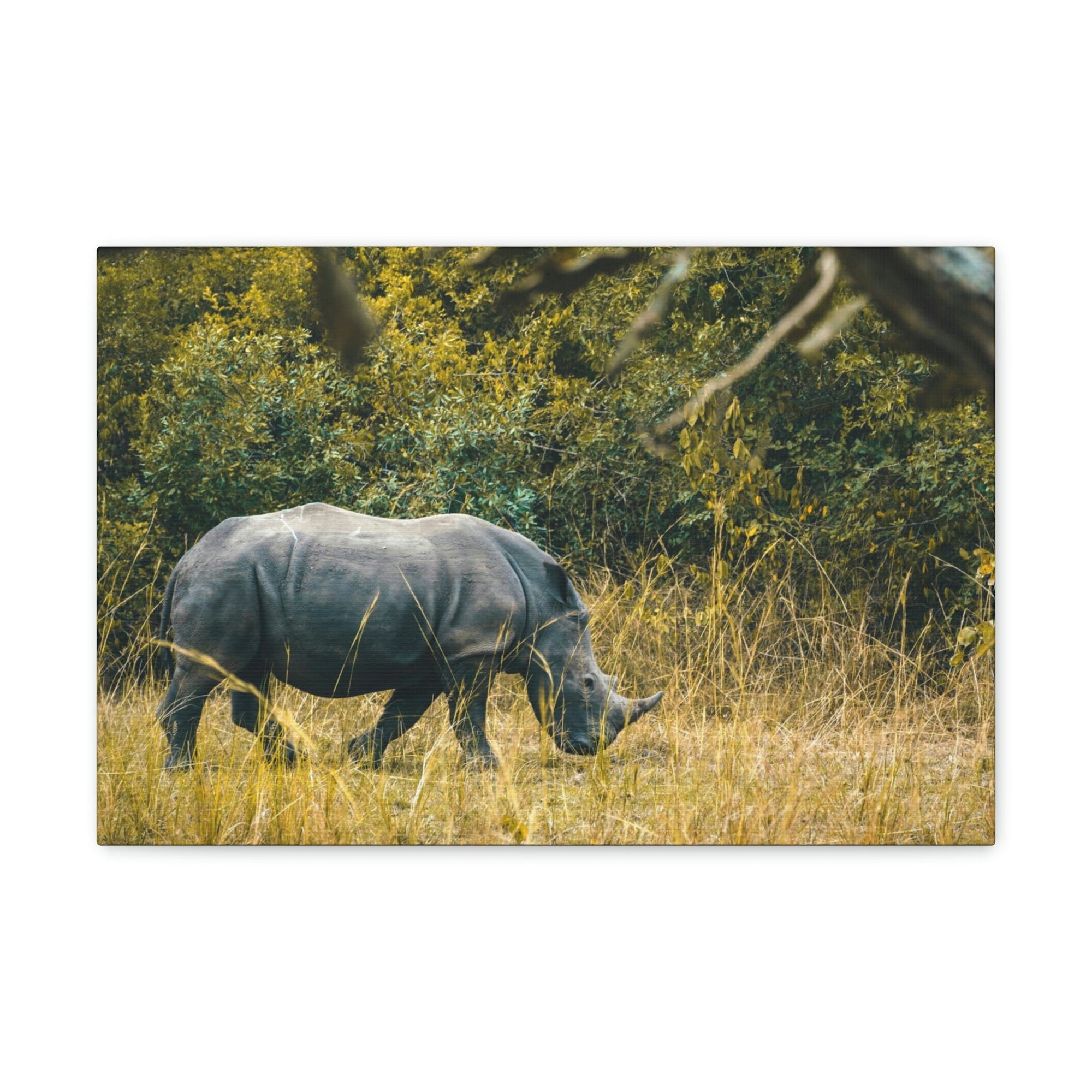 Scripture Walls Rhino Hunting Rhino on Hunt Print Animal Wall Art Wildlife Canvas Prints Wall Art Ready to Hang Unframed-Express Your Love Gifts