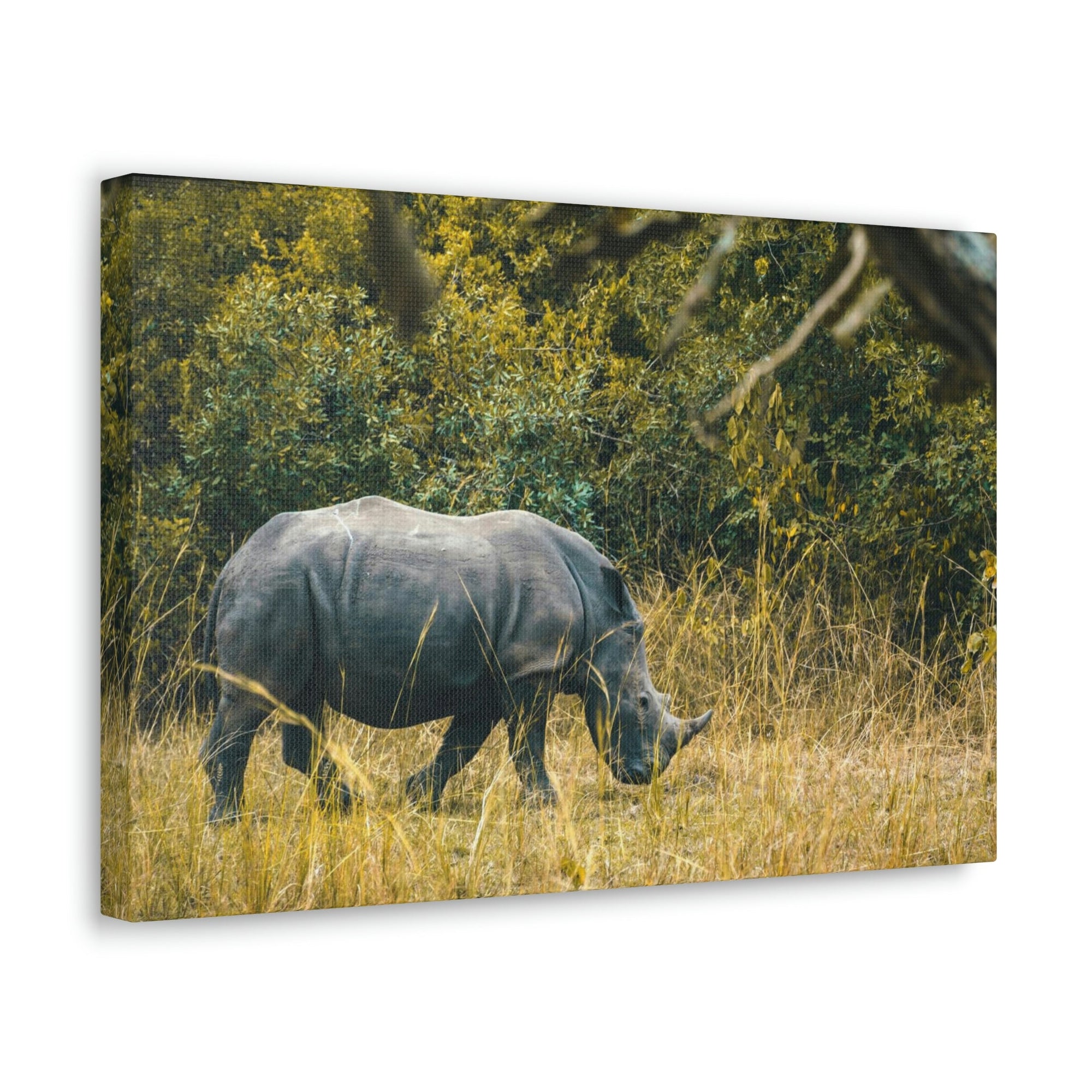 Scripture Walls Rhino Hunting Rhino on Hunt Print Animal Wall Art Wildlife Canvas Prints Wall Art Ready to Hang Unframed-Express Your Love Gifts