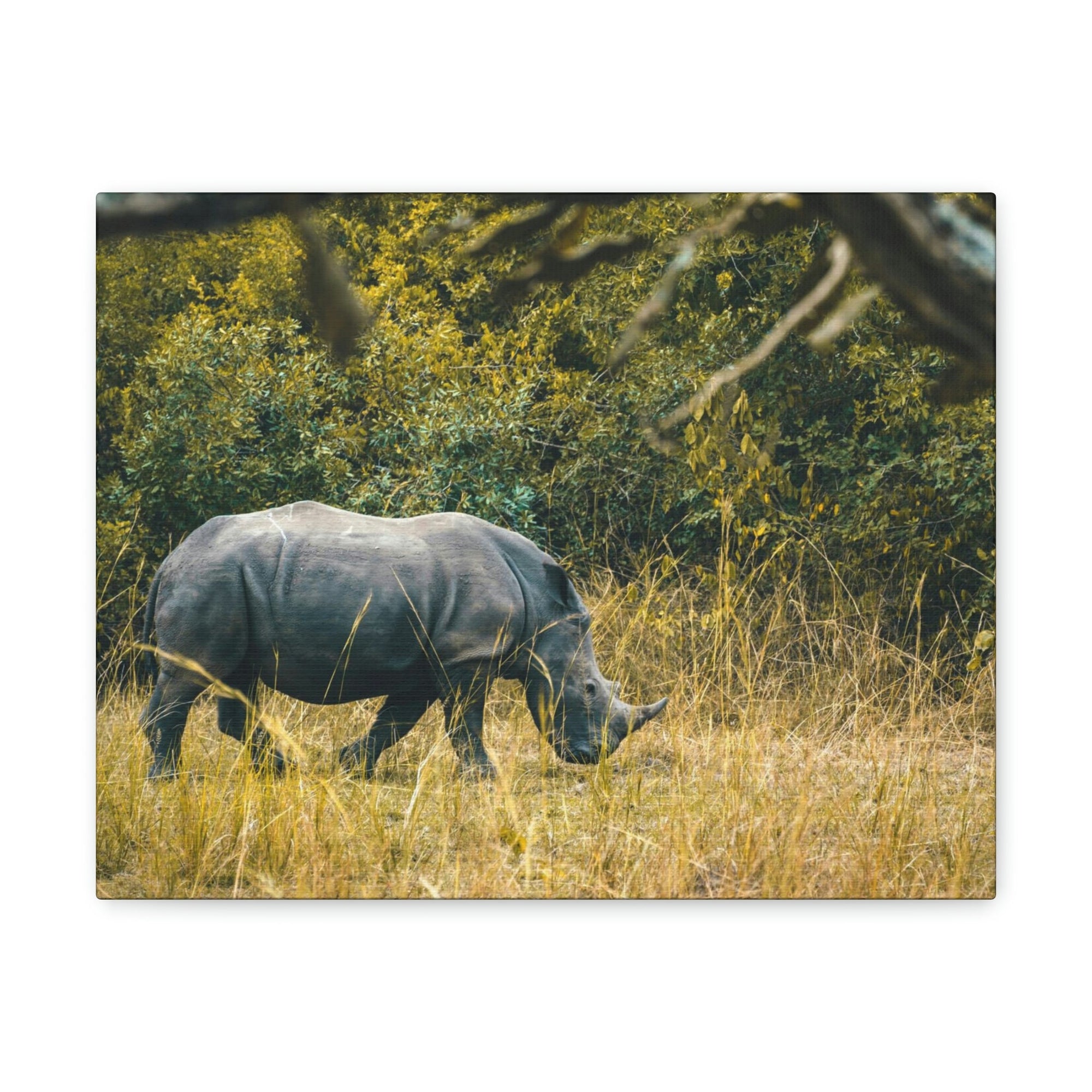 Scripture Walls Rhino Hunting Rhino on Hunt Print Animal Wall Art Wildlife Canvas Prints Wall Art Ready to Hang Unframed-Express Your Love Gifts