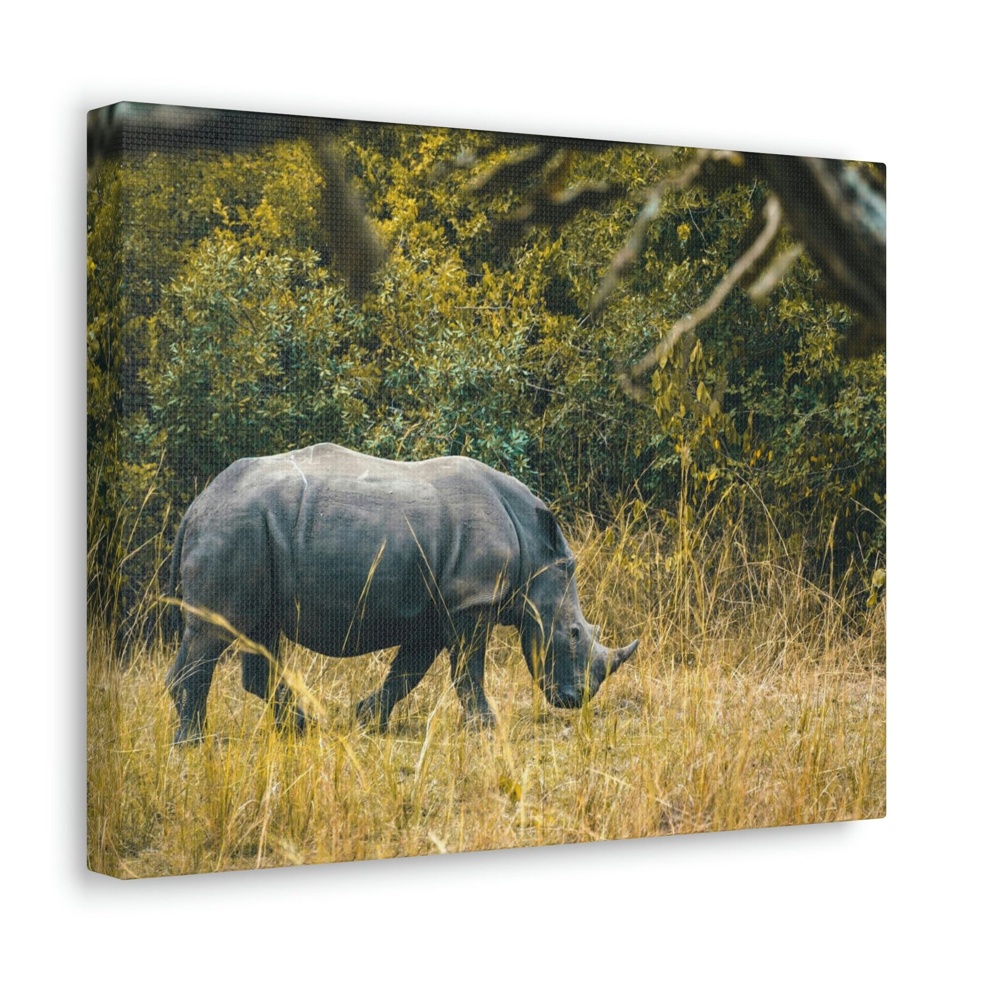 Scripture Walls Rhino Hunting Rhino on Hunt Print Animal Wall Art Wildlife Canvas Prints Wall Art Ready to Hang Unframed-Express Your Love Gifts