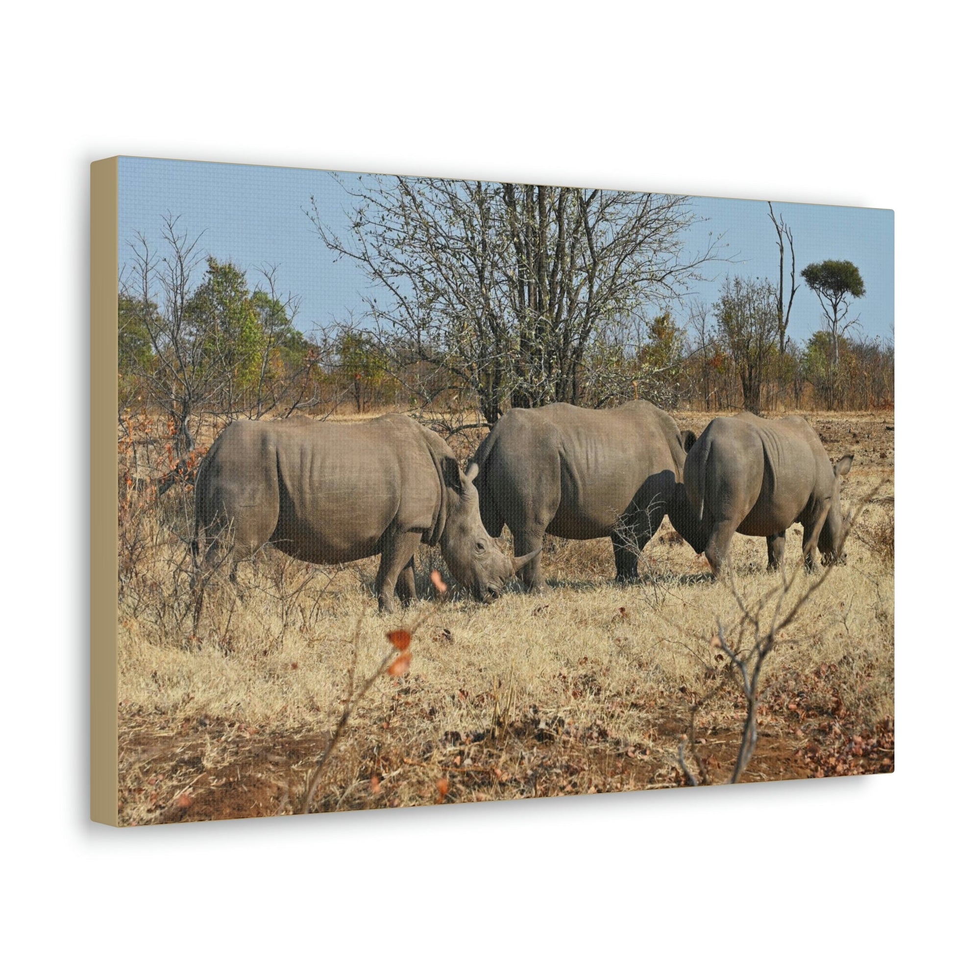 Scripture Walls Rhinoceros Group Rhinoceros Troop Print Animal Wall Art Wildlife Canvas Prints Wall Art Ready to Hang Unframed-Express Your Love Gifts