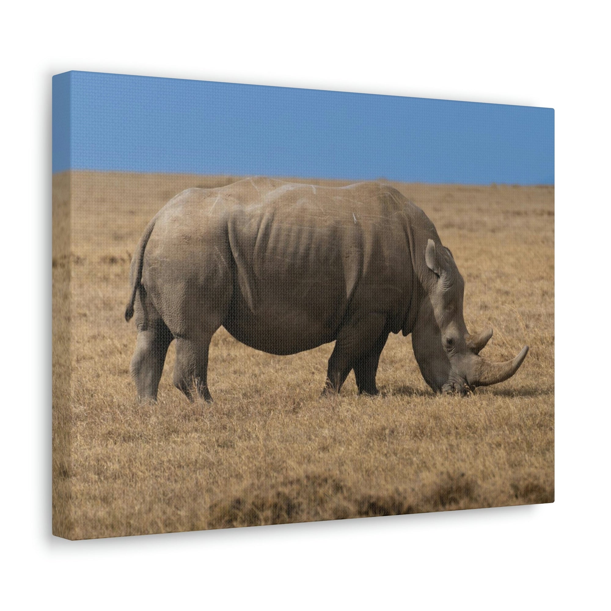 Scripture Walls Rhinoceros Hunting Rhinoceros on Hunt Print Animal Wall Art Wildlife Canvas Prints Wall Art Ready to Hang Unframed-Express Your Love Gifts