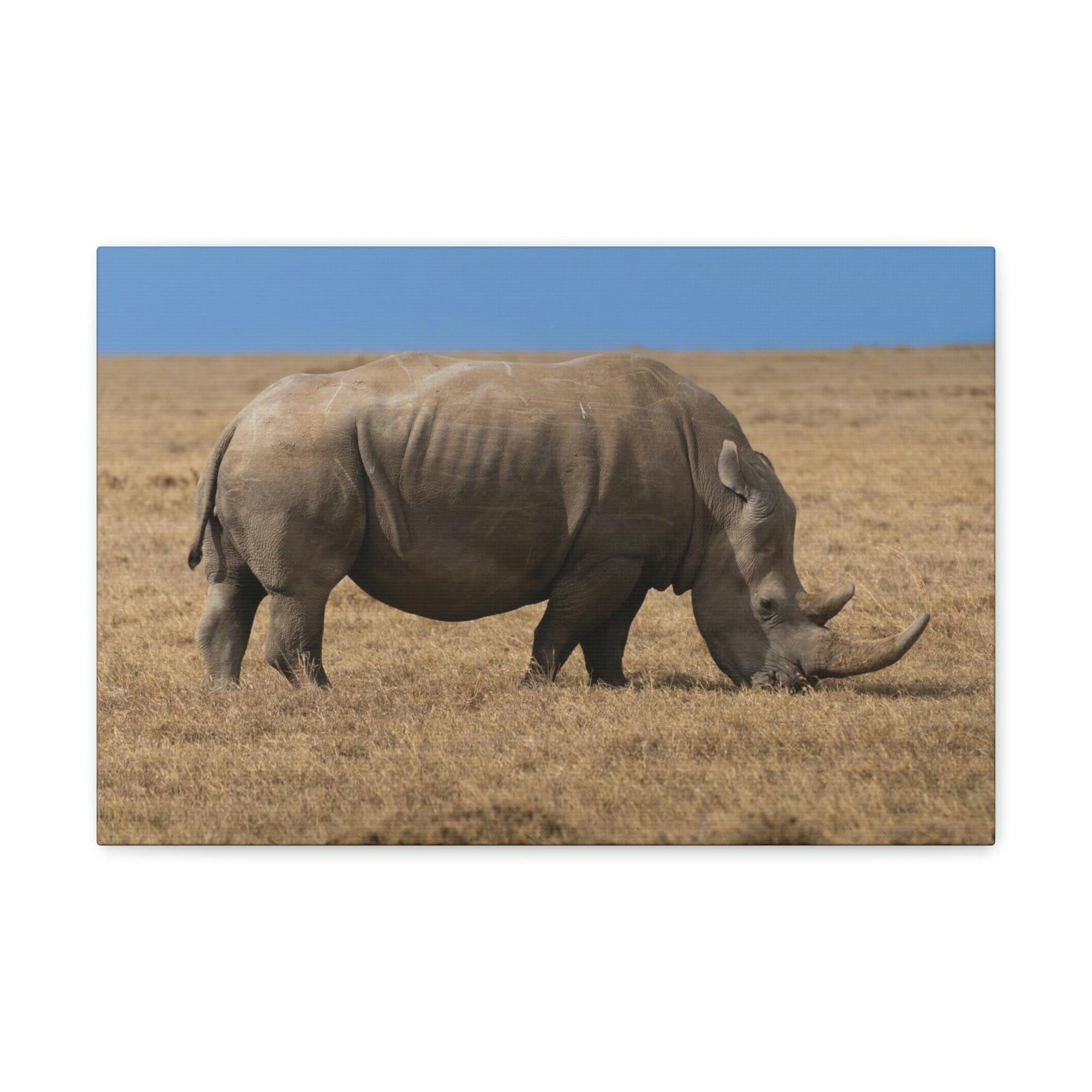 Scripture Walls Rhinoceros Hunting Rhinoceros on Hunt Print Animal Wall Art Wildlife Canvas Prints Wall Art Ready to Hang Unframed-Express Your Love Gifts