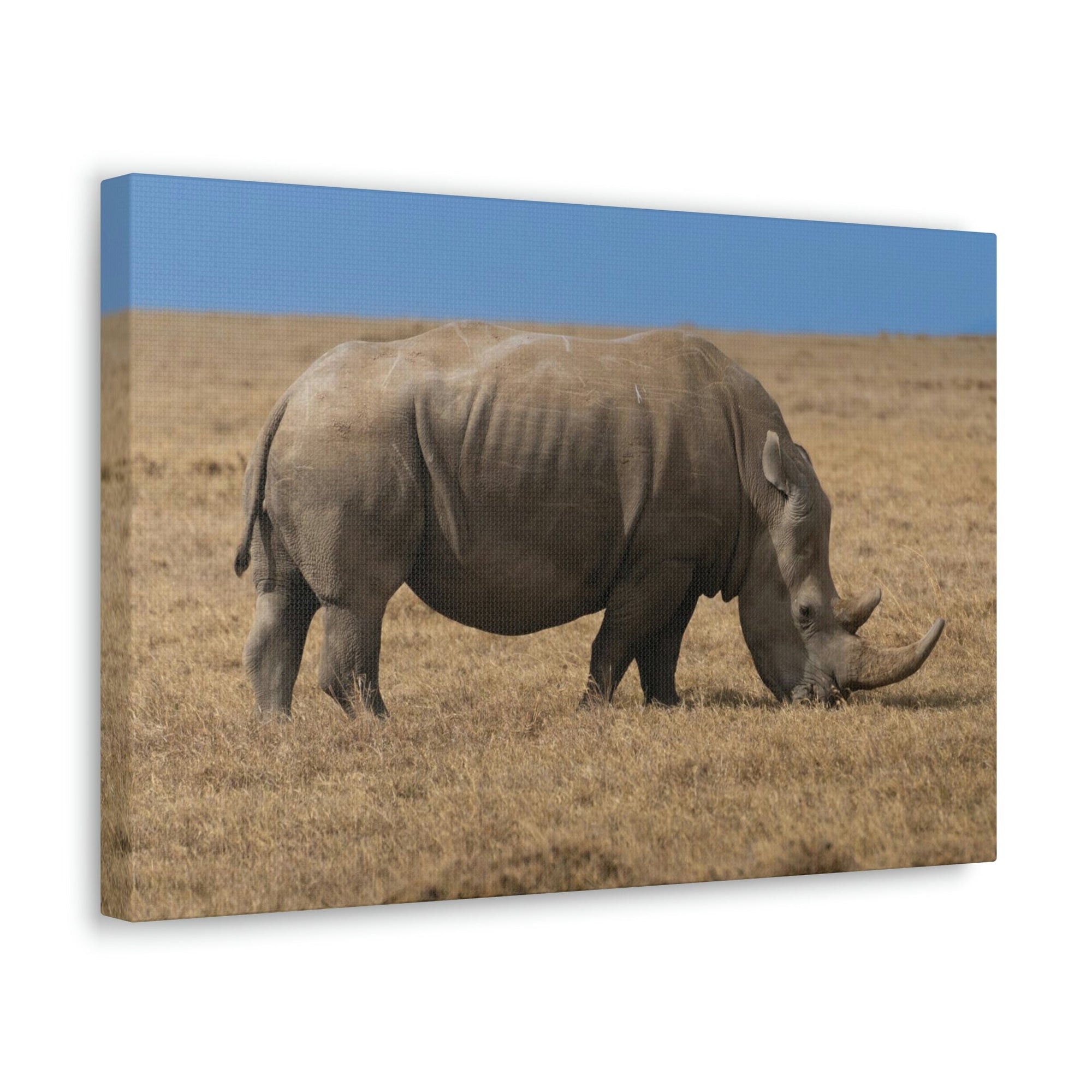 Scripture Walls Rhinoceros Hunting Rhinoceros on Hunt Print Animal Wall Art Wildlife Canvas Prints Wall Art Ready to Hang Unframed-Express Your Love Gifts