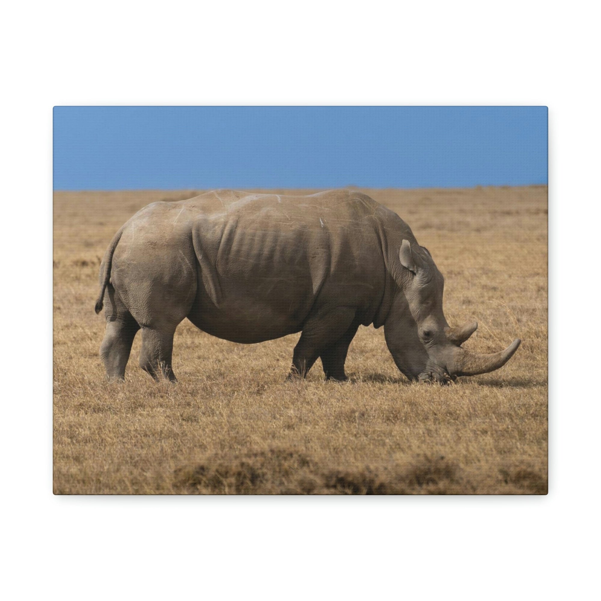 Scripture Walls Rhinoceros Hunting Rhinoceros on Hunt Print Animal Wall Art Wildlife Canvas Prints Wall Art Ready to Hang Unframed-Express Your Love Gifts