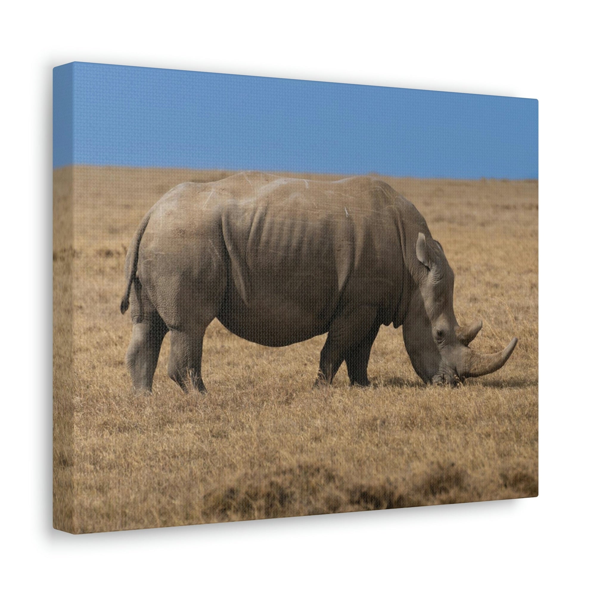 Scripture Walls Rhinoceros Hunting Rhinoceros on Hunt Print Animal Wall Art Wildlife Canvas Prints Wall Art Ready to Hang Unframed-Express Your Love Gifts