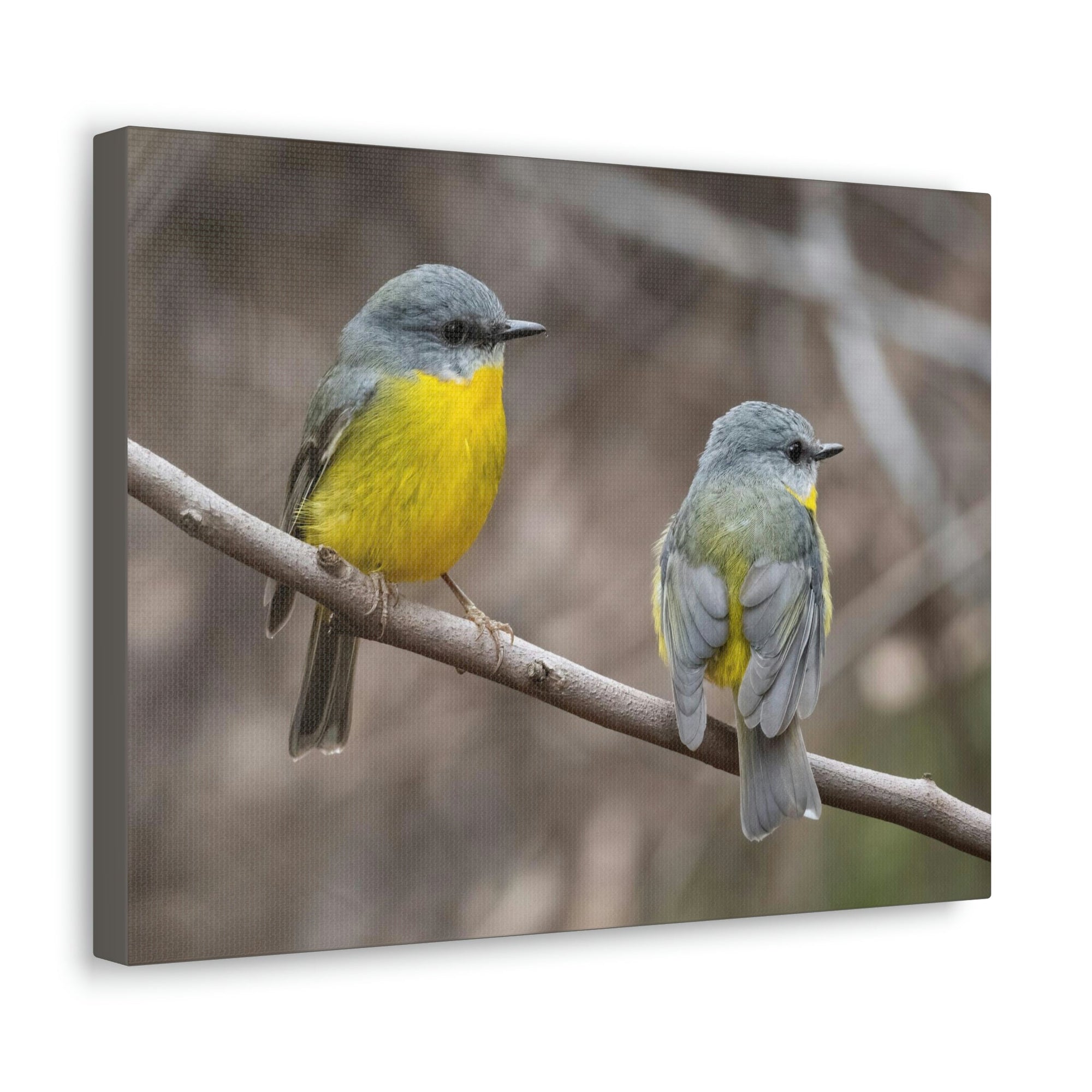 Scripture Walls Robin Couple Robin Couple Print Animal Wall Art Wildlife Canvas Prints Wall Art Ready to Hang Unframed-Express Your Love Gifts