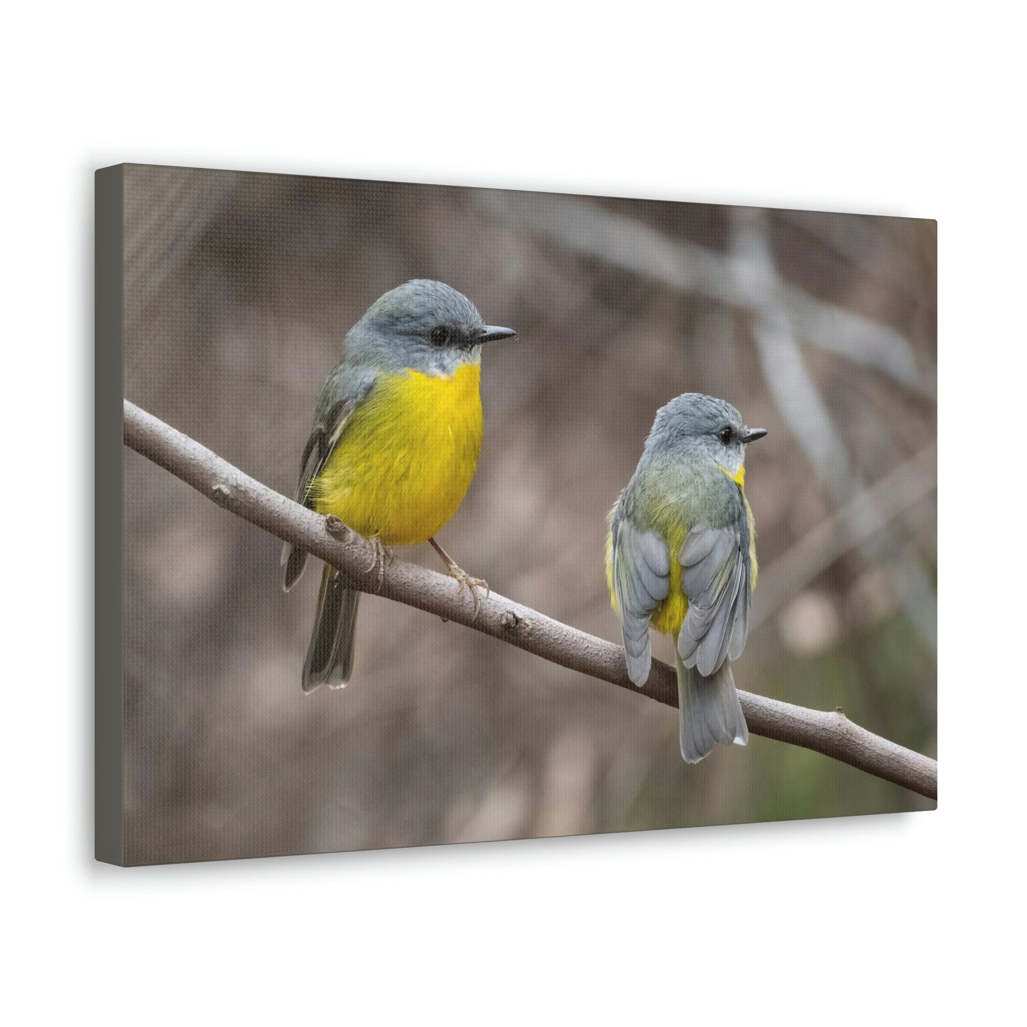 Scripture Walls Robin Couple Robin Couple Print Animal Wall Art Wildlife Canvas Prints Wall Art Ready to Hang Unframed-Express Your Love Gifts