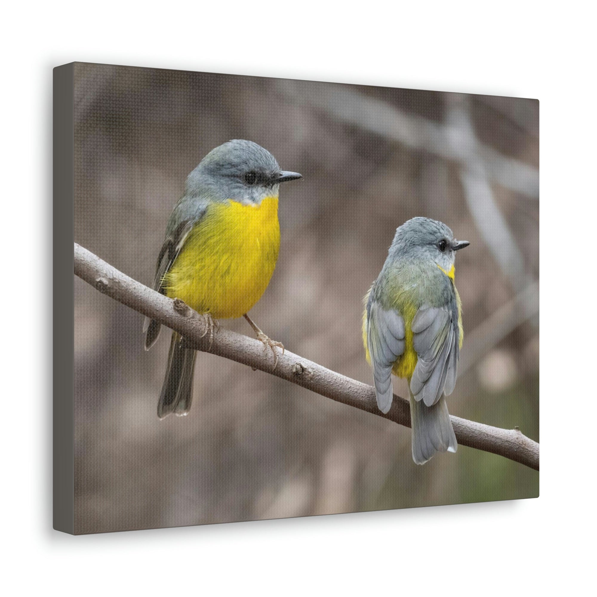 Scripture Walls Robin Couple Robin Couple Print Animal Wall Art Wildlife Canvas Prints Wall Art Ready to Hang Unframed-Express Your Love Gifts