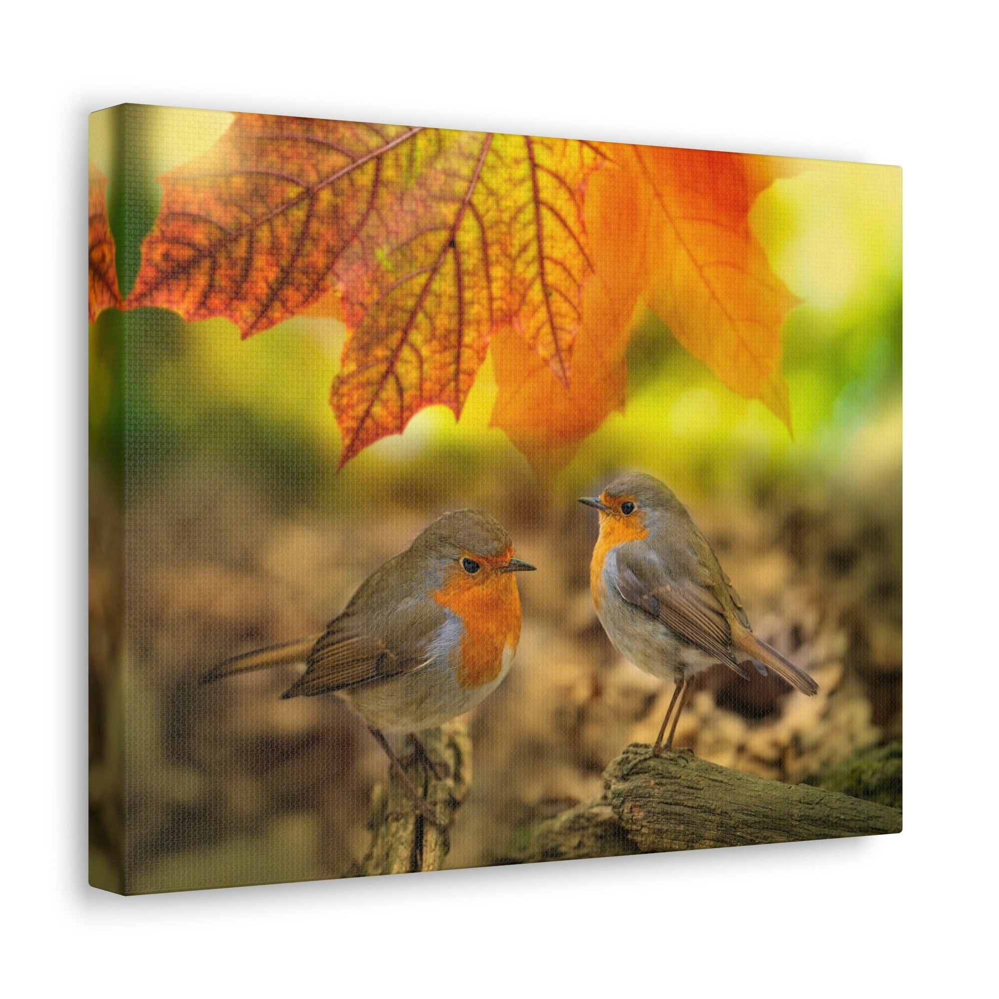 Scripture Walls Robins in the Forest Print Animal Wall Art Wildlife Canvas Prints Wall Art Ready to Hang Unframed-Express Your Love Gifts