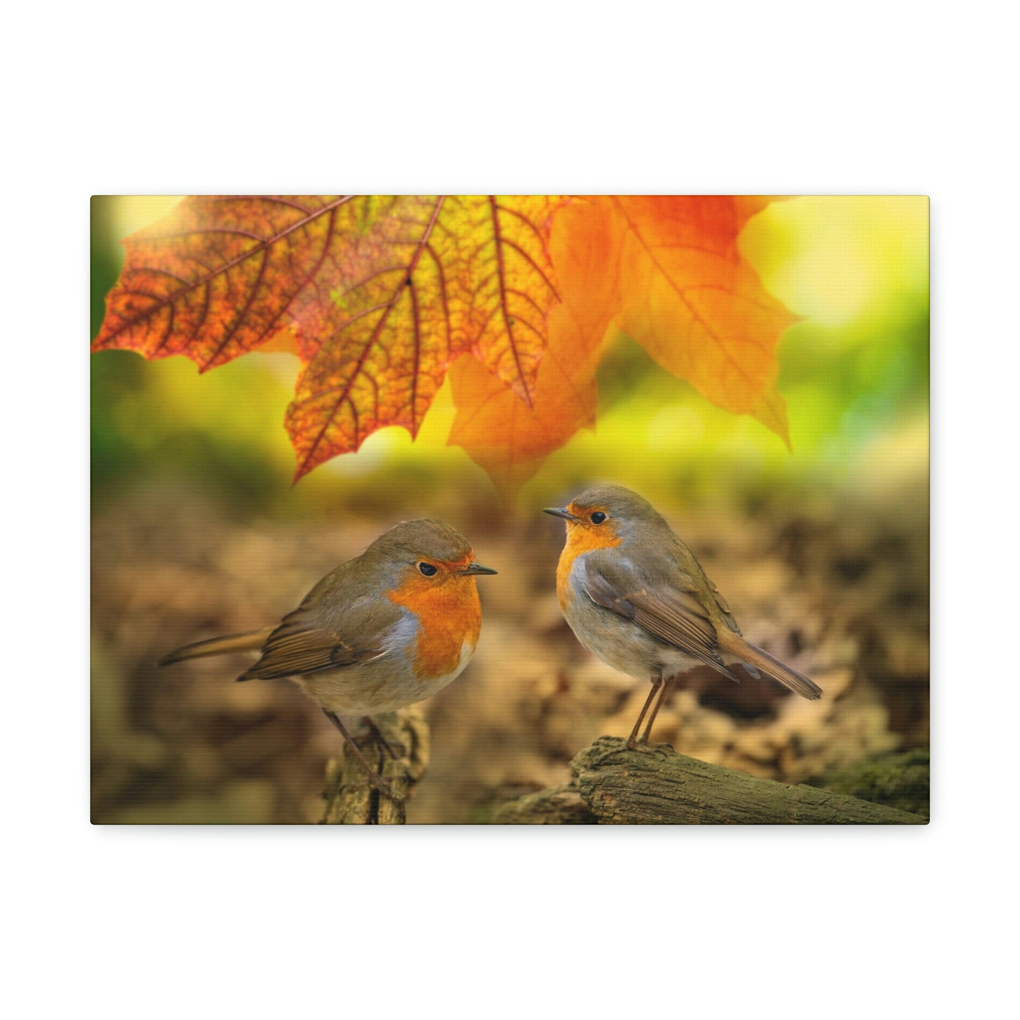 Scripture Walls Robins in the Forest Print Animal Wall Art Wildlife Canvas Prints Wall Art Ready to Hang Unframed-Express Your Love Gifts