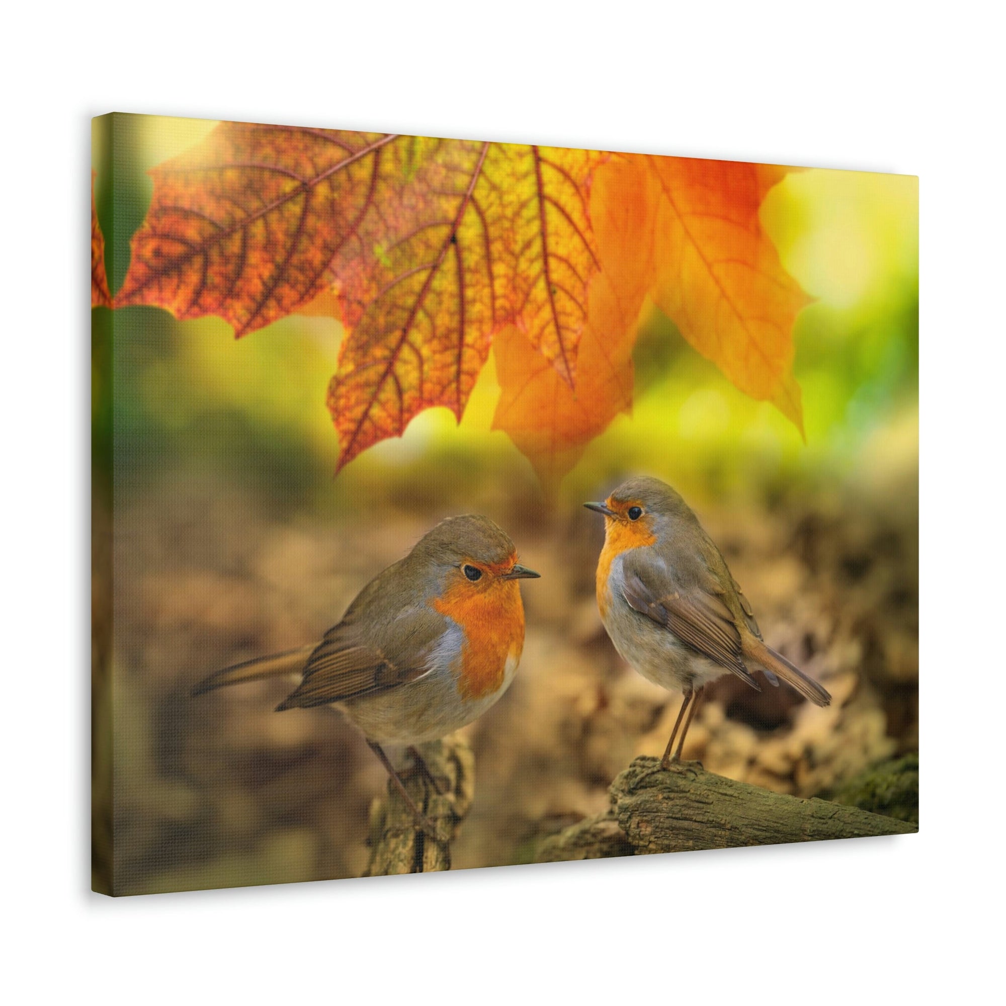 Scripture Walls Robins in the Forest Print Animal Wall Art Wildlife Canvas Prints Wall Art Ready to Hang Unframed-Express Your Love Gifts