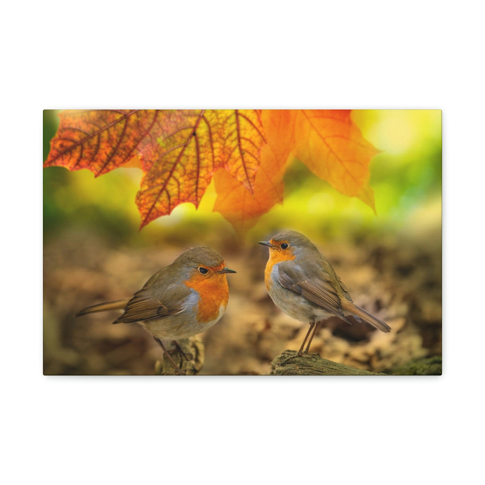 Scripture Walls Robins in the Forest Print Animal Wall Art Wildlife Canvas Prints Wall Art Ready to Hang Unframed-Express Your Love Gifts