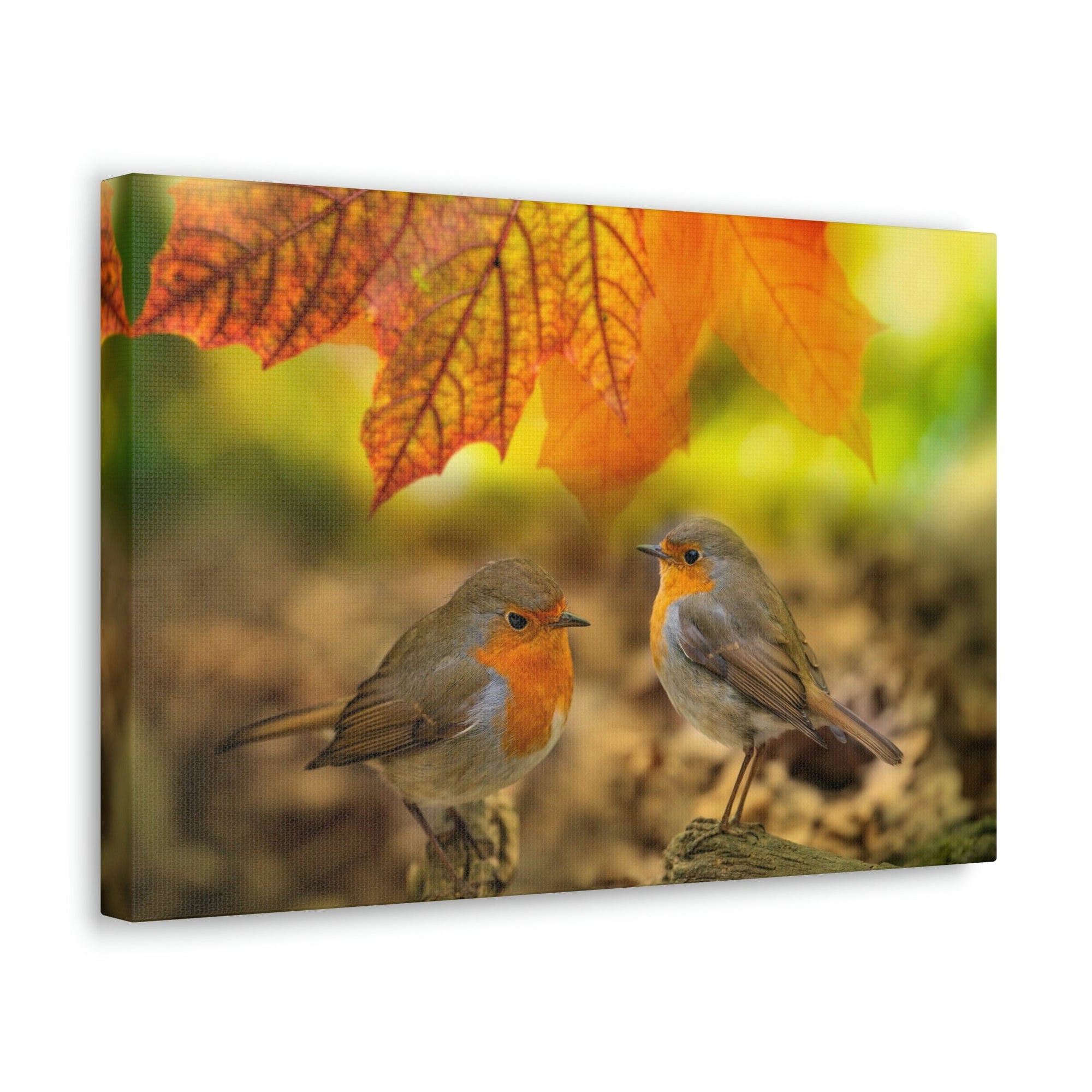 Scripture Walls Robins in the Forest Print Animal Wall Art Wildlife Canvas Prints Wall Art Ready to Hang Unframed-Express Your Love Gifts