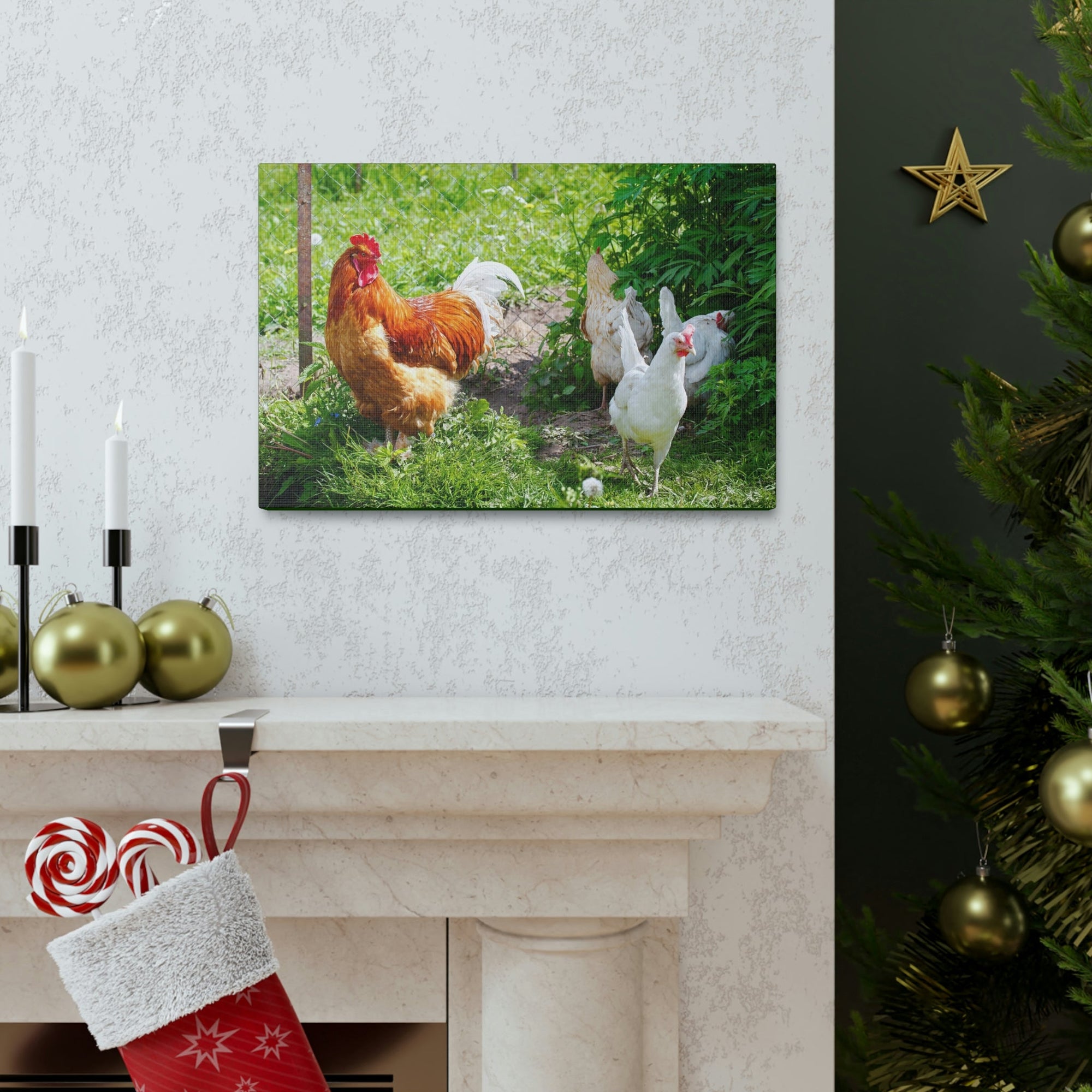 Scripture Walls Rooster Couple Rooster Couple Print Animal Wall Art Wildlife Canvas Prints Wall Art Ready to Hang Unframed-Express Your Love Gifts