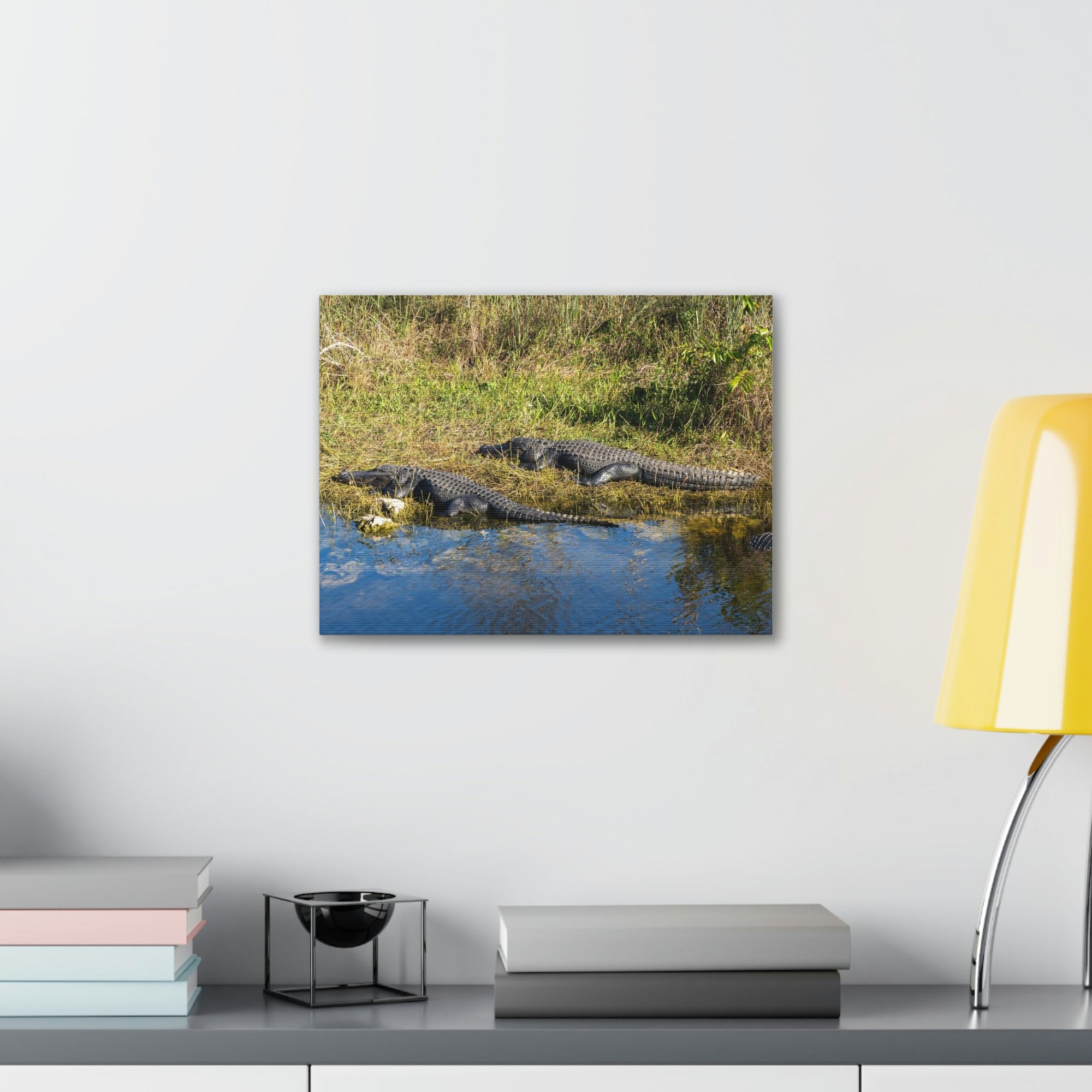 Scripture Walls Salt Water Alligator Couple Salt Water Alligator Couple Print Animal Wall Art Wildlife Canvas Prints Wall Art Ready to Hang Unframed-Express Your Love Gifts