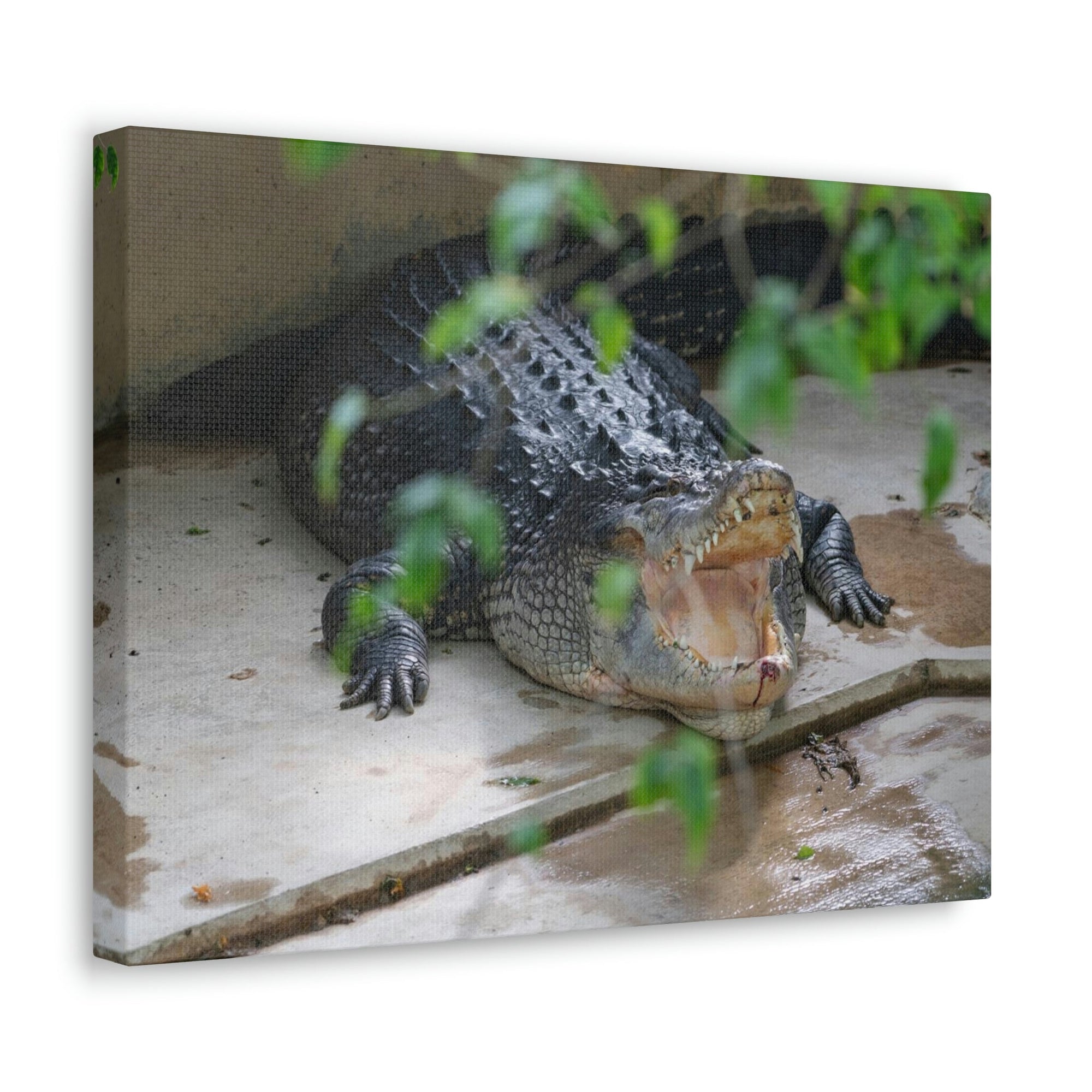 Scripture Walls Salt Water Alligator Hunting Salt Water Alligator on Hunt Print Animal Wall Art Wildlife Canvas Prints Wall Art Ready to Hang Unframed-Express Your Love Gifts