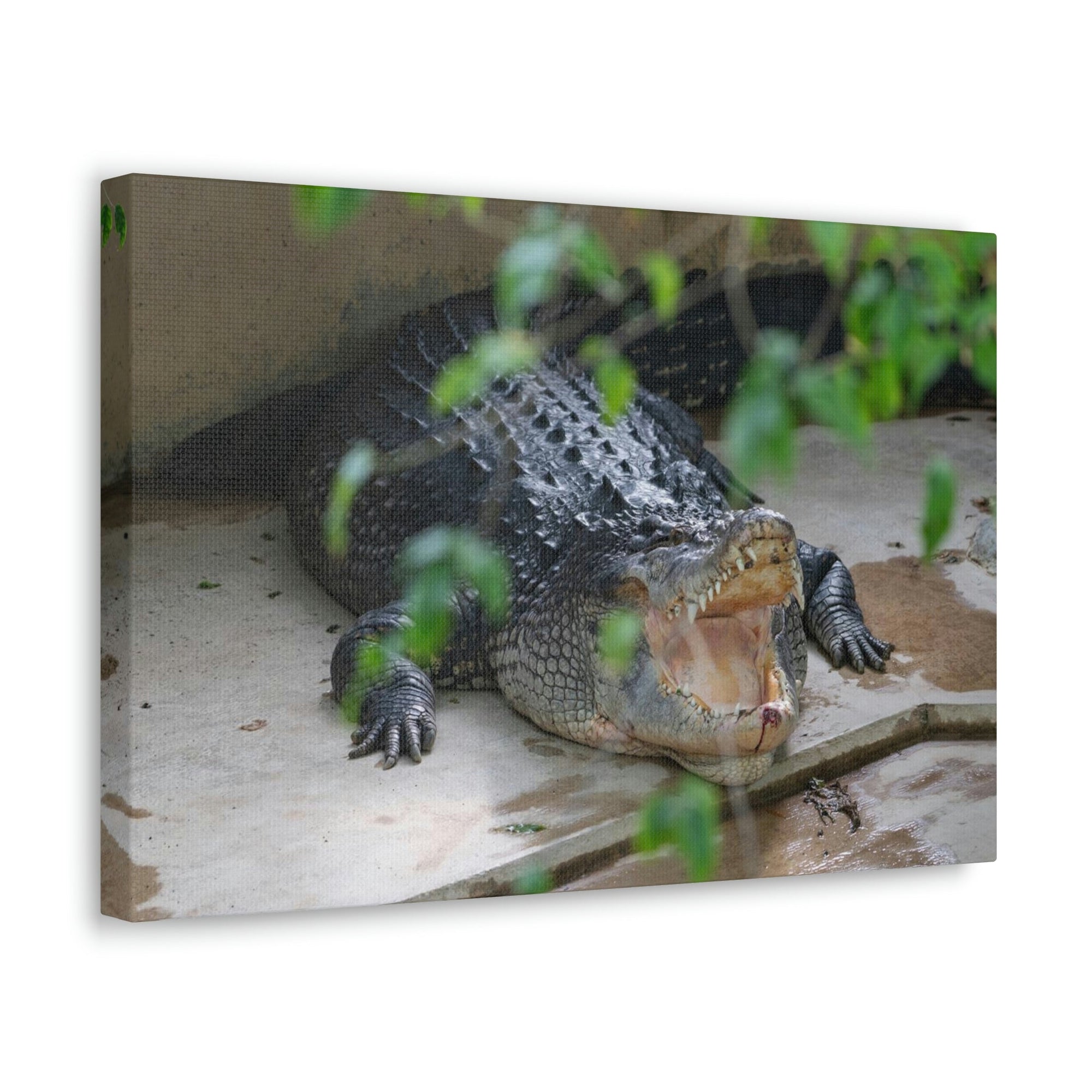 Scripture Walls Salt Water Alligator Hunting Salt Water Alligator on Hunt Print Animal Wall Art Wildlife Canvas Prints Wall Art Ready to Hang Unframed-Express Your Love Gifts