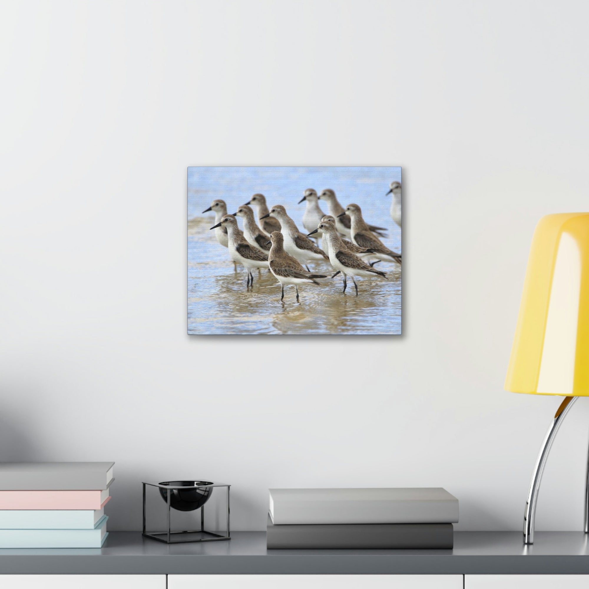 Scripture Walls Sandpiper Group Sandpiper Troop Print Animal Wall Art Wildlife Canvas Prints Wall Art Ready to Hang Unframed-Express Your Love Gifts