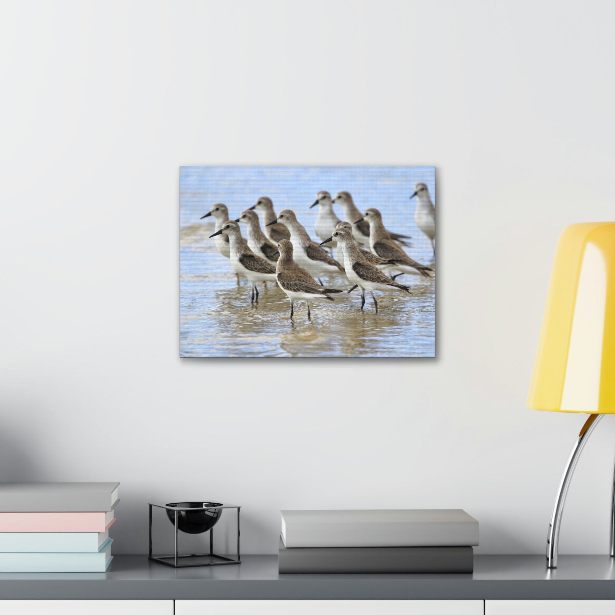 Scripture Walls Sandpiper Group Sandpiper Troop Print Animal Wall Art Wildlife Canvas Prints Wall Art Ready to Hang Unframed-Express Your Love Gifts