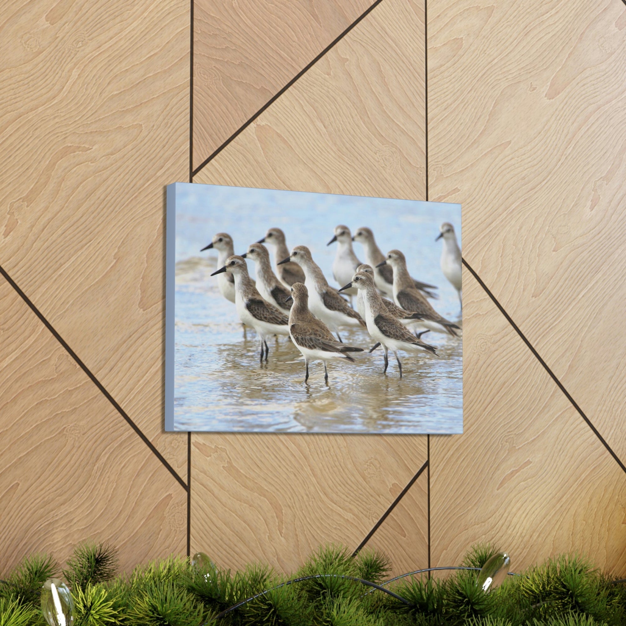 Scripture Walls Sandpiper Group Sandpiper Troop Print Animal Wall Art Wildlife Canvas Prints Wall Art Ready to Hang Unframed-Express Your Love Gifts