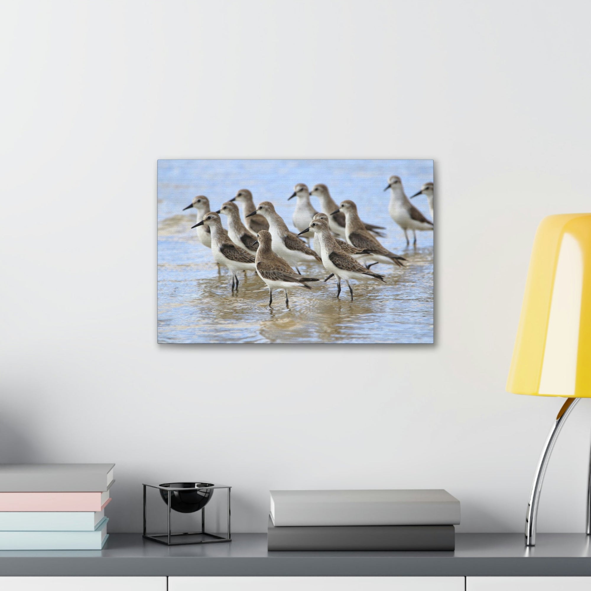 Scripture Walls Sandpiper Group Sandpiper Troop Print Animal Wall Art Wildlife Canvas Prints Wall Art Ready to Hang Unframed-Express Your Love Gifts