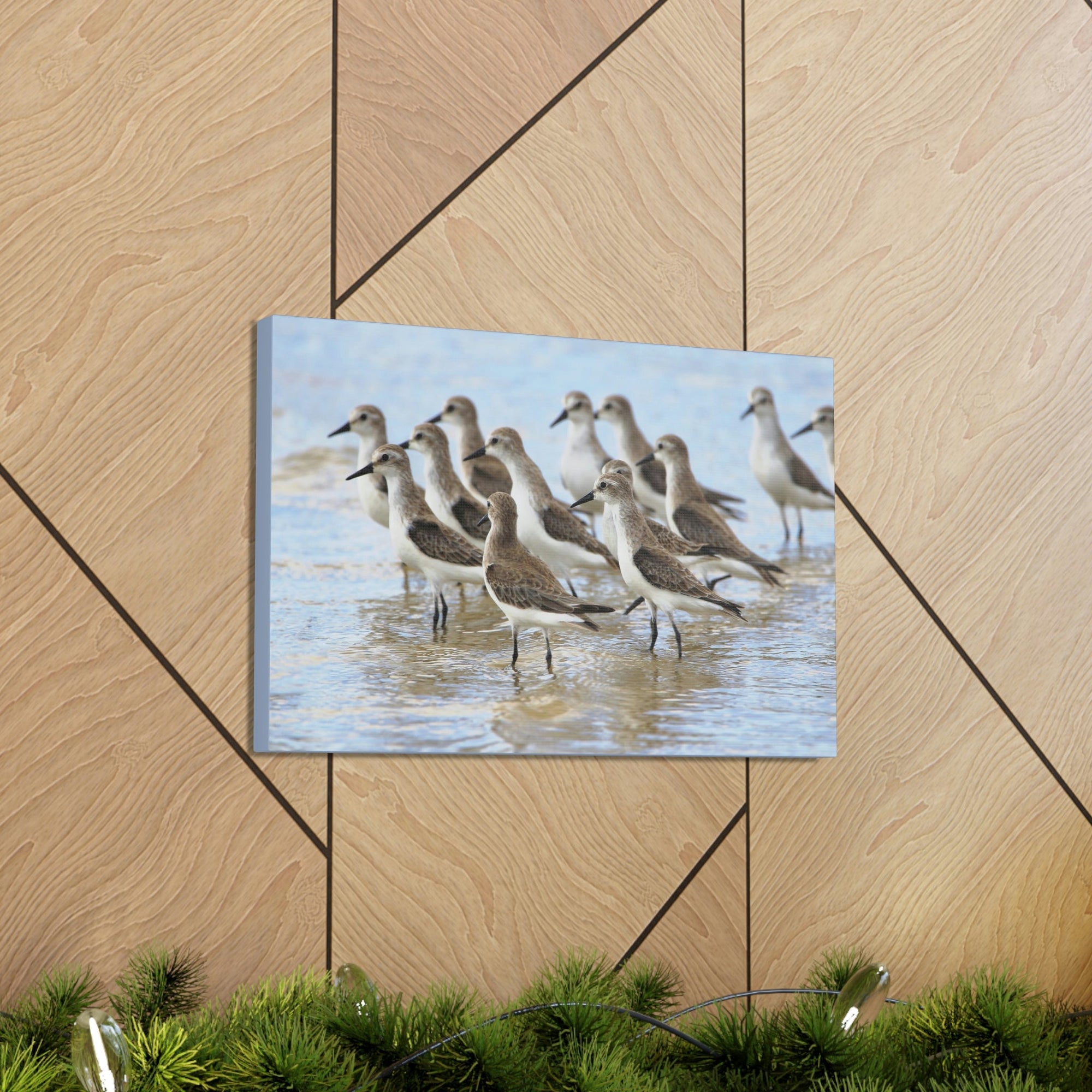 Scripture Walls Sandpiper Group Sandpiper Troop Print Animal Wall Art Wildlife Canvas Prints Wall Art Ready to Hang Unframed-Express Your Love Gifts