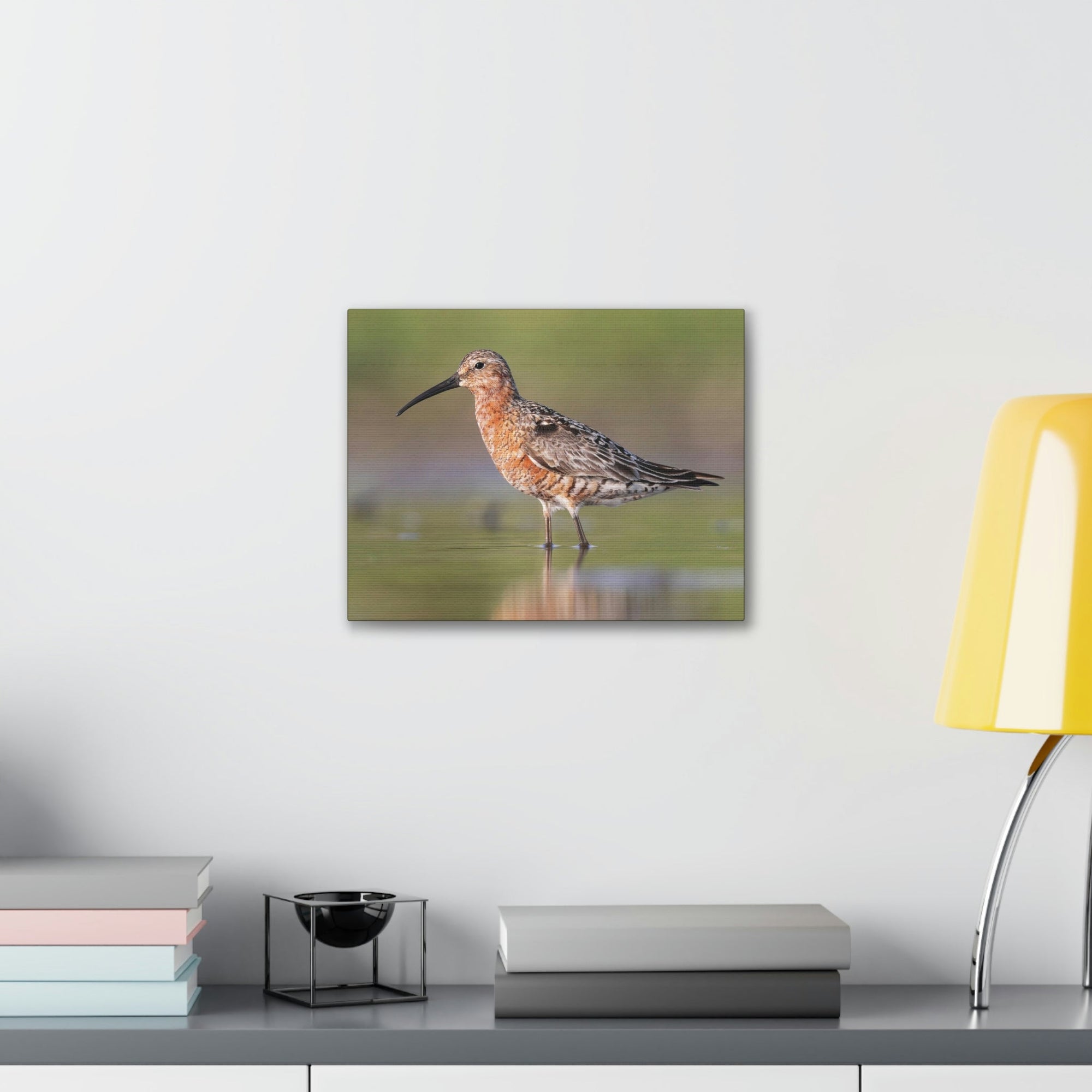 Scripture Walls Sandpiper Hunting Sandpiper on Hunt Print Animal Wall Art Wildlife Canvas Prints Wall Art Ready to Hang Unframed-Express Your Love Gifts