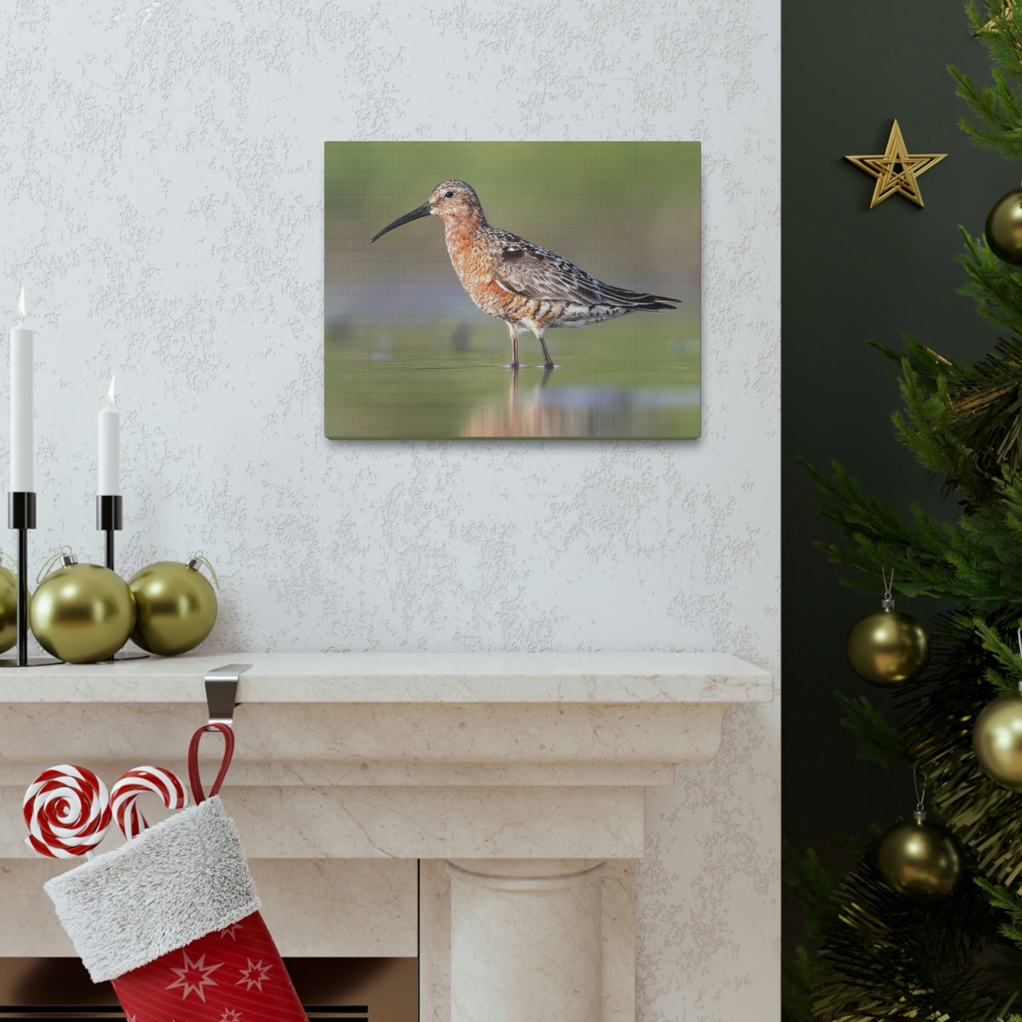 Scripture Walls Sandpiper Hunting Sandpiper on Hunt Print Animal Wall Art Wildlife Canvas Prints Wall Art Ready to Hang Unframed-Express Your Love Gifts