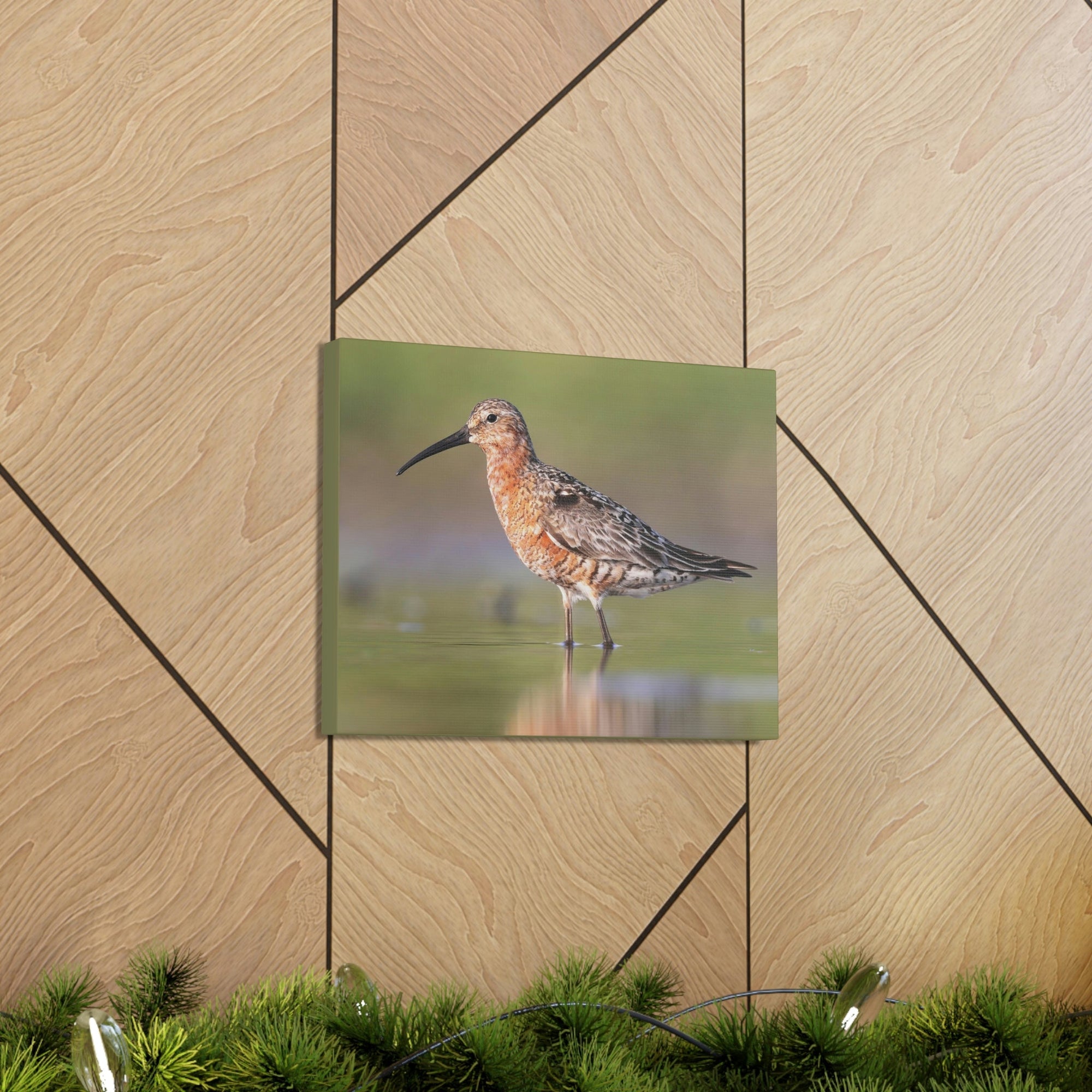 Scripture Walls Sandpiper Hunting Sandpiper on Hunt Print Animal Wall Art Wildlife Canvas Prints Wall Art Ready to Hang Unframed-Express Your Love Gifts