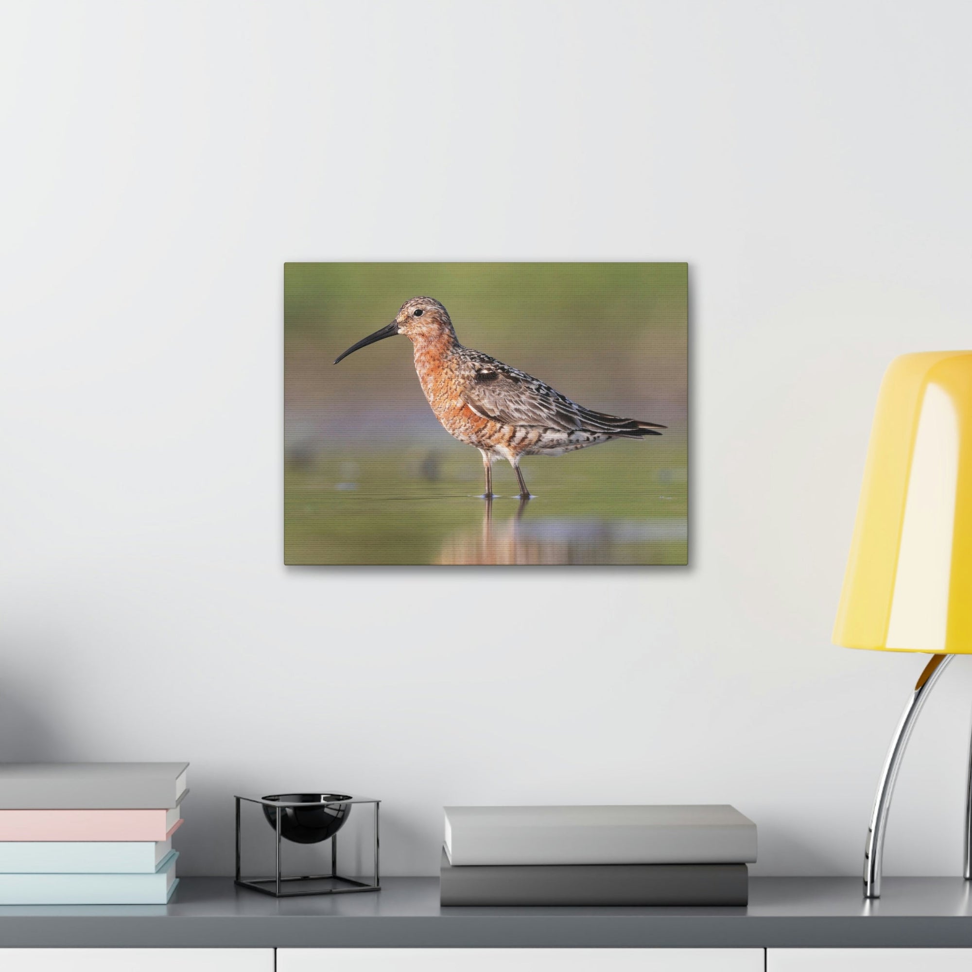 Scripture Walls Sandpiper Hunting Sandpiper on Hunt Print Animal Wall Art Wildlife Canvas Prints Wall Art Ready to Hang Unframed-Express Your Love Gifts