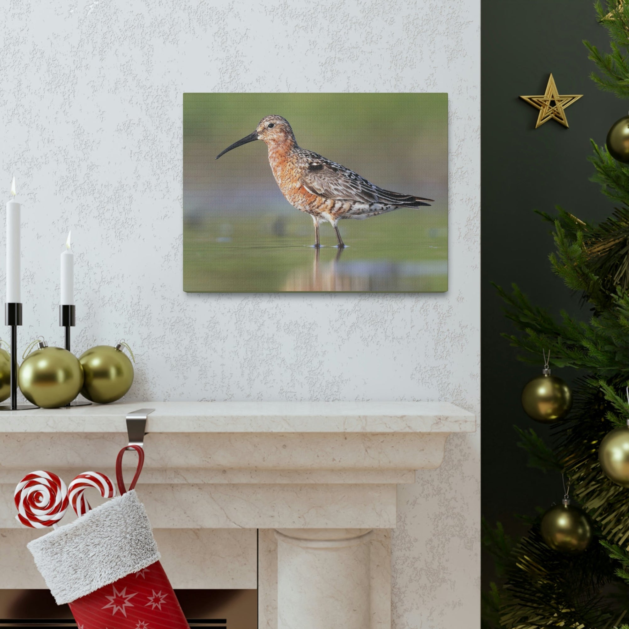 Scripture Walls Sandpiper Hunting Sandpiper on Hunt Print Animal Wall Art Wildlife Canvas Prints Wall Art Ready to Hang Unframed-Express Your Love Gifts