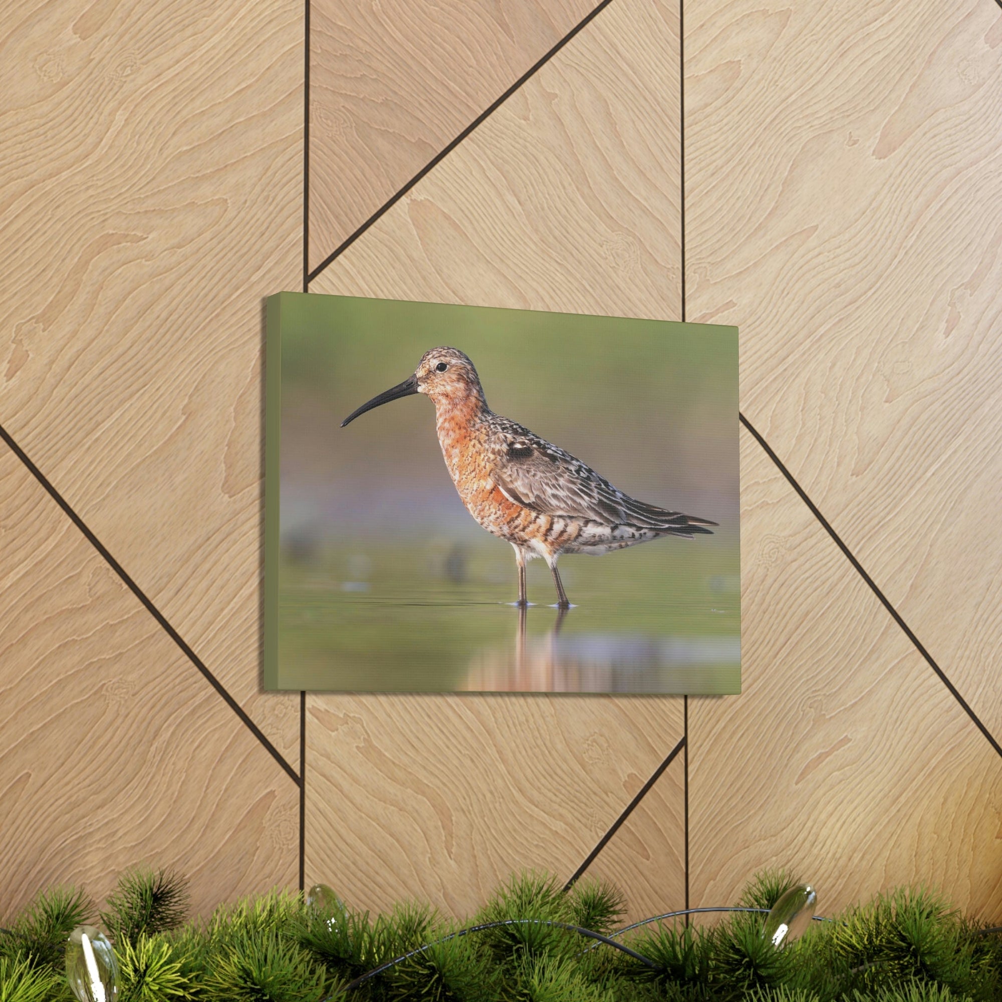 Scripture Walls Sandpiper Hunting Sandpiper on Hunt Print Animal Wall Art Wildlife Canvas Prints Wall Art Ready to Hang Unframed-Express Your Love Gifts